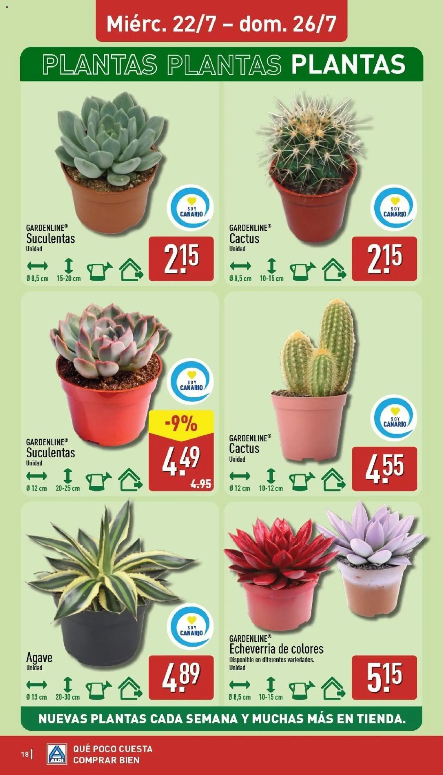 Aldi folleto Canarias