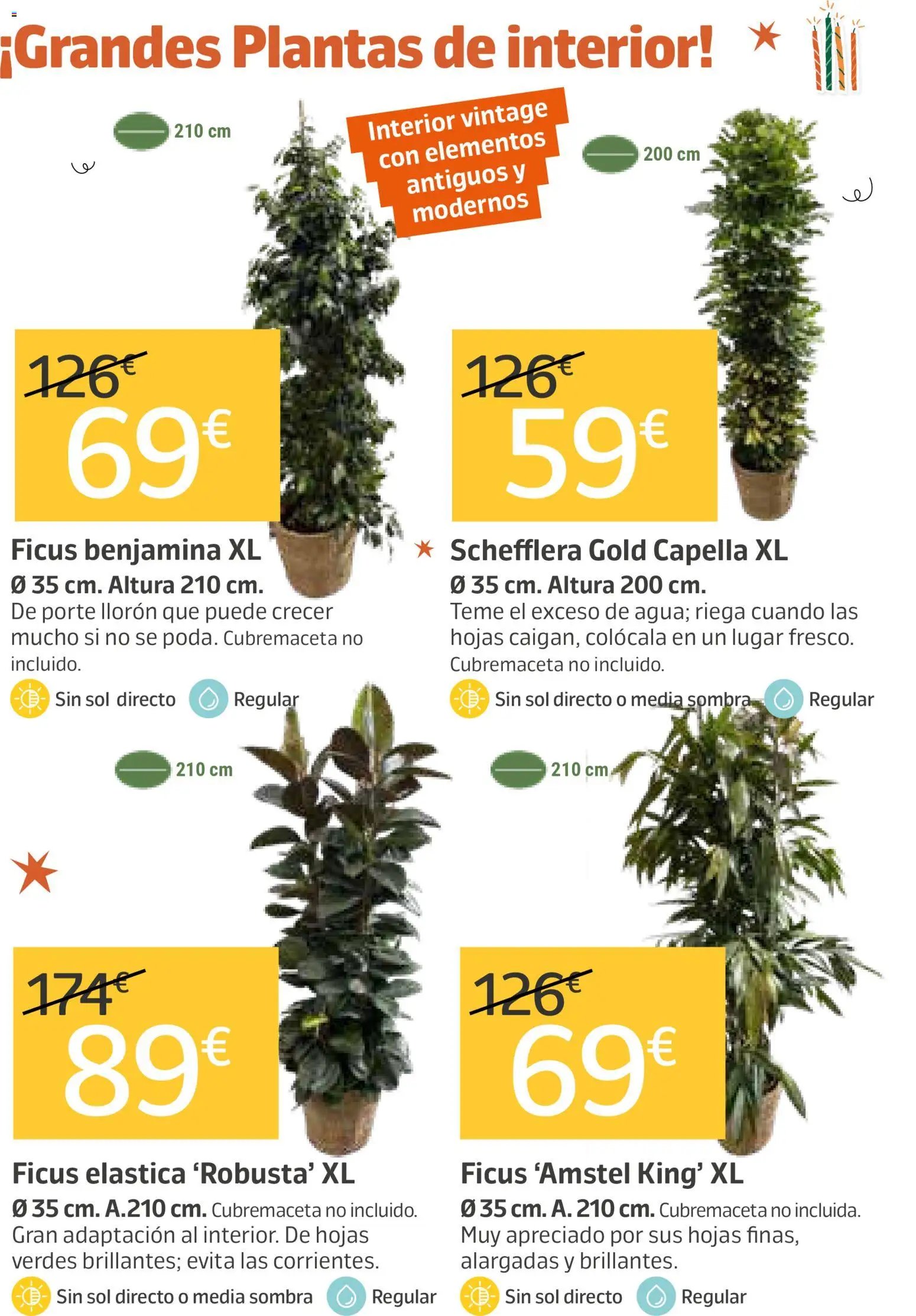 Jardiland folleto