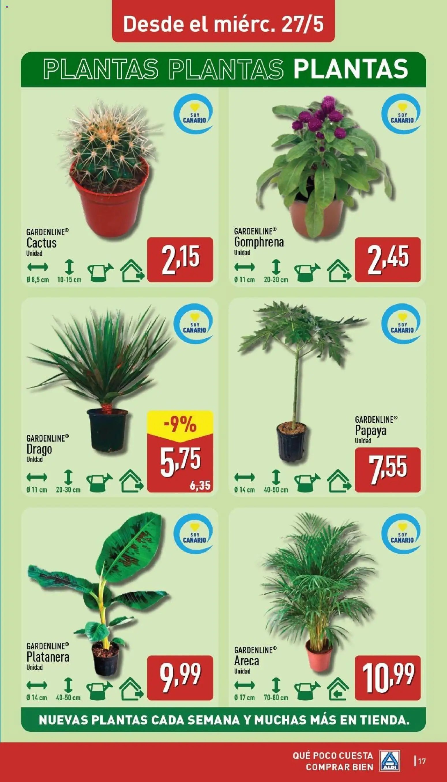 Aldi folleto Canarias
