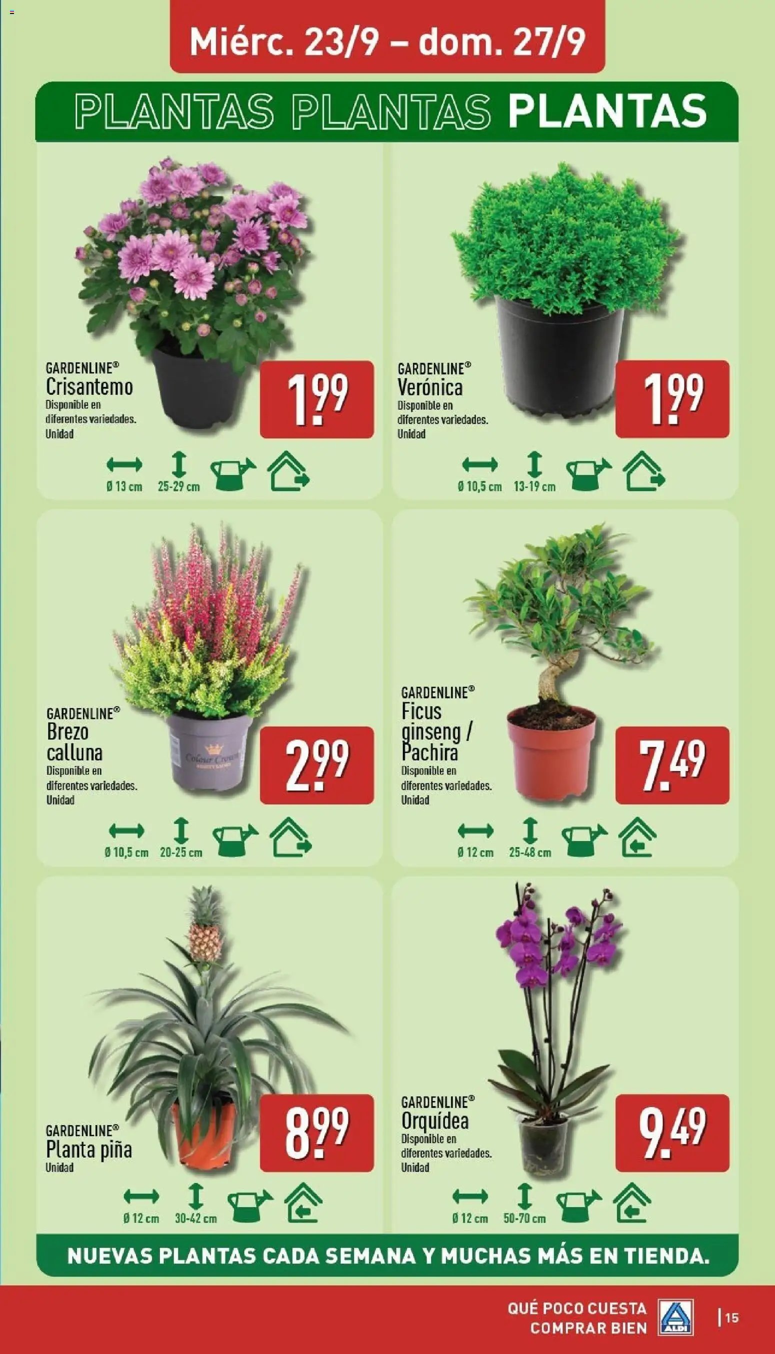 Aldi folleto Península