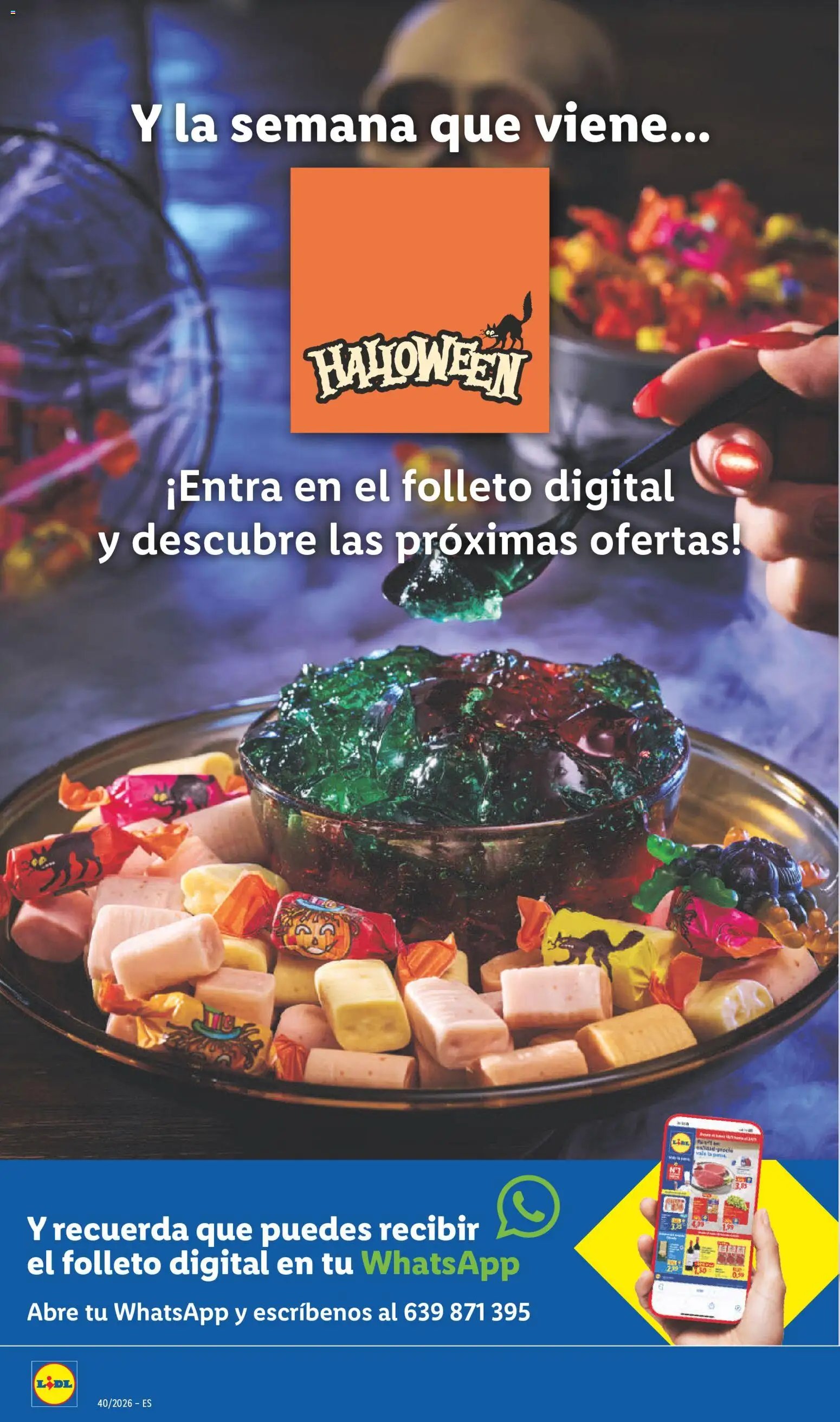 Lidl folleto de bazar