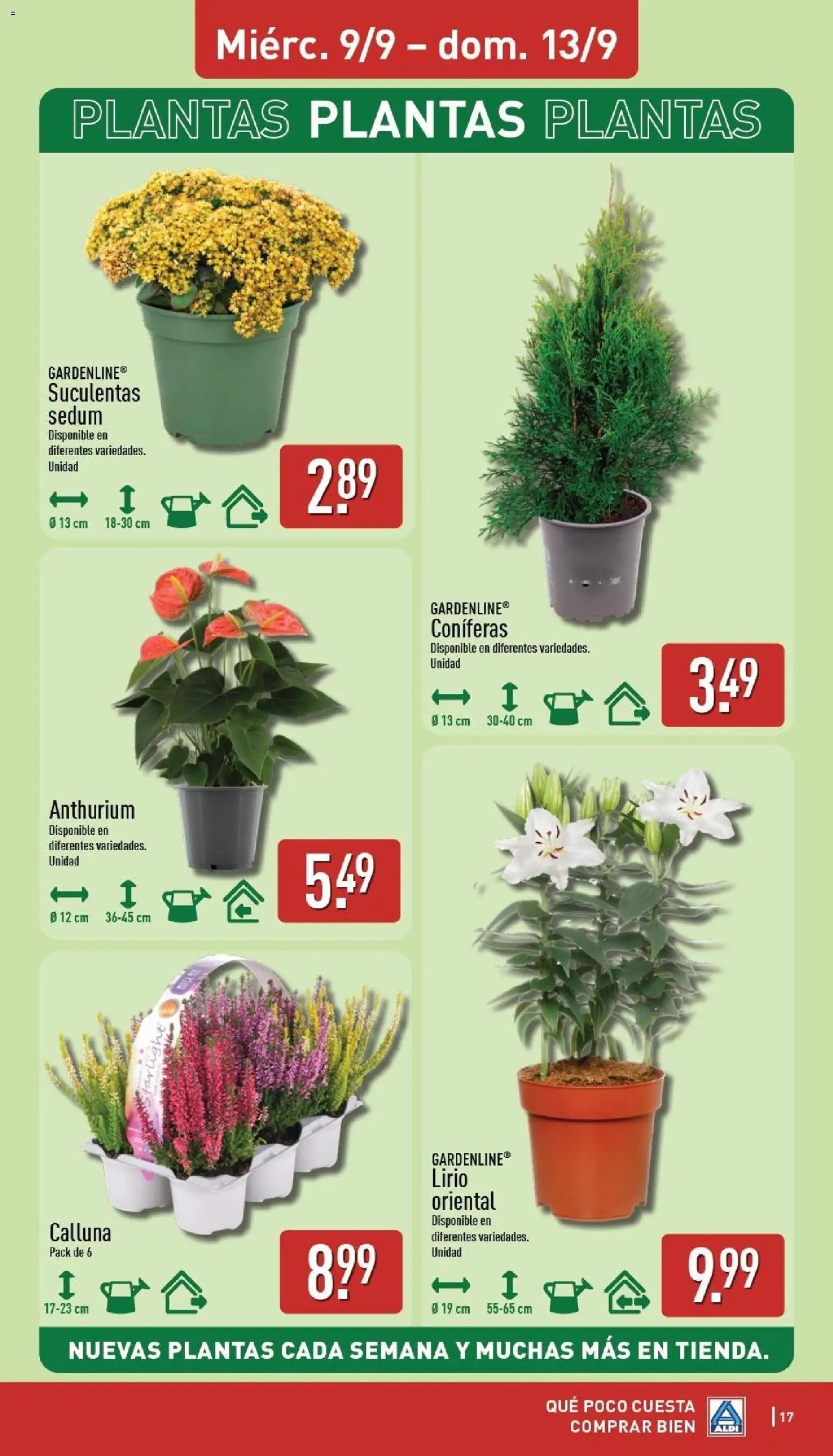 Aldi folleto Baleares