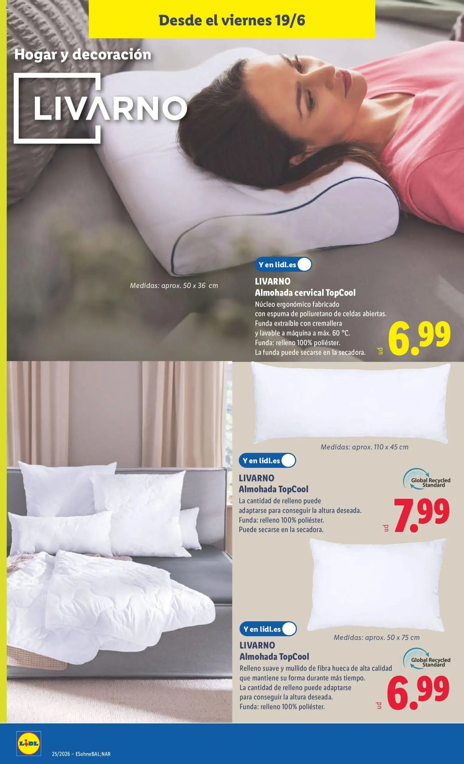 Lidl folleto de bazar