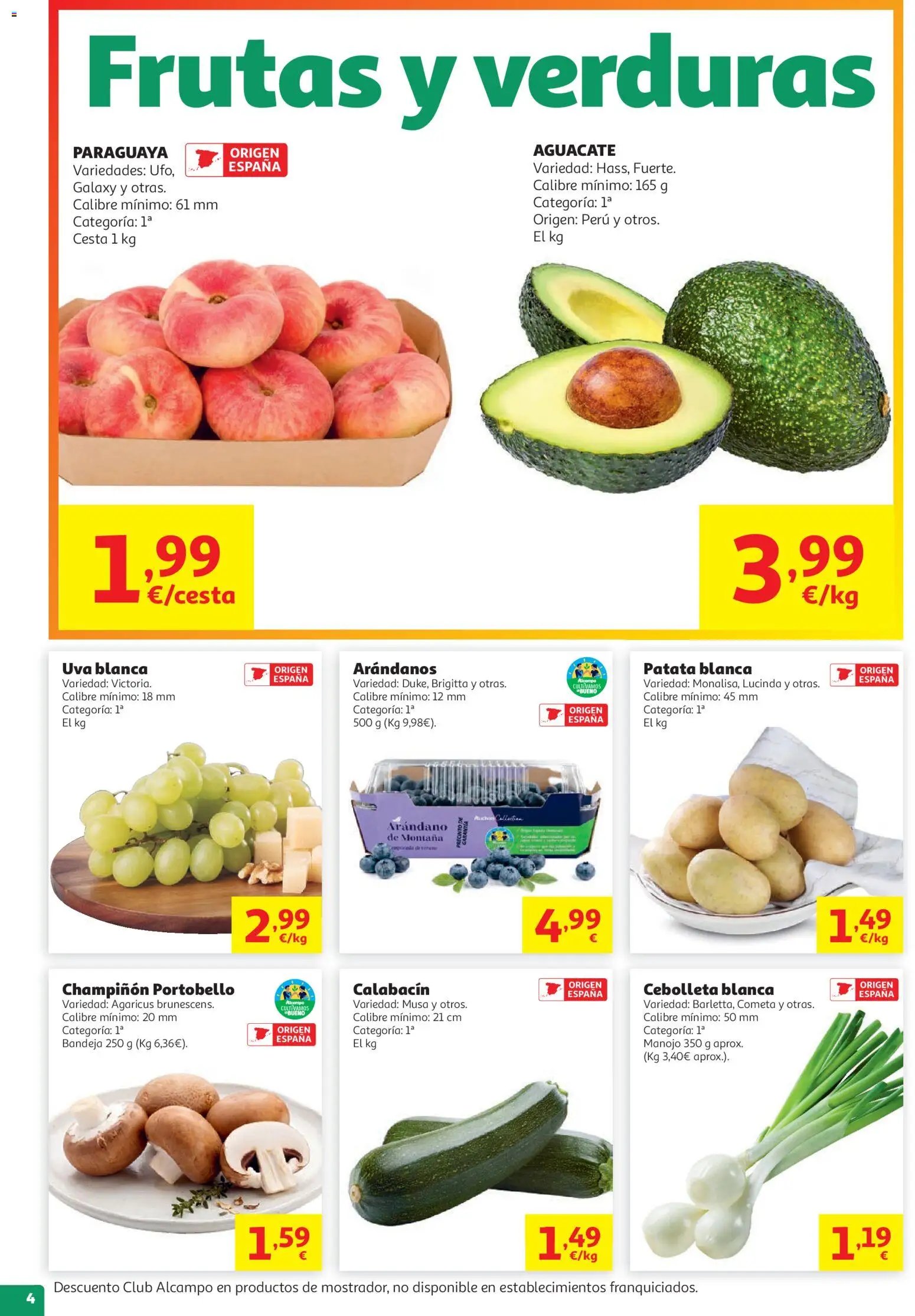 Alcampo  HP Nacional Cat Litoral