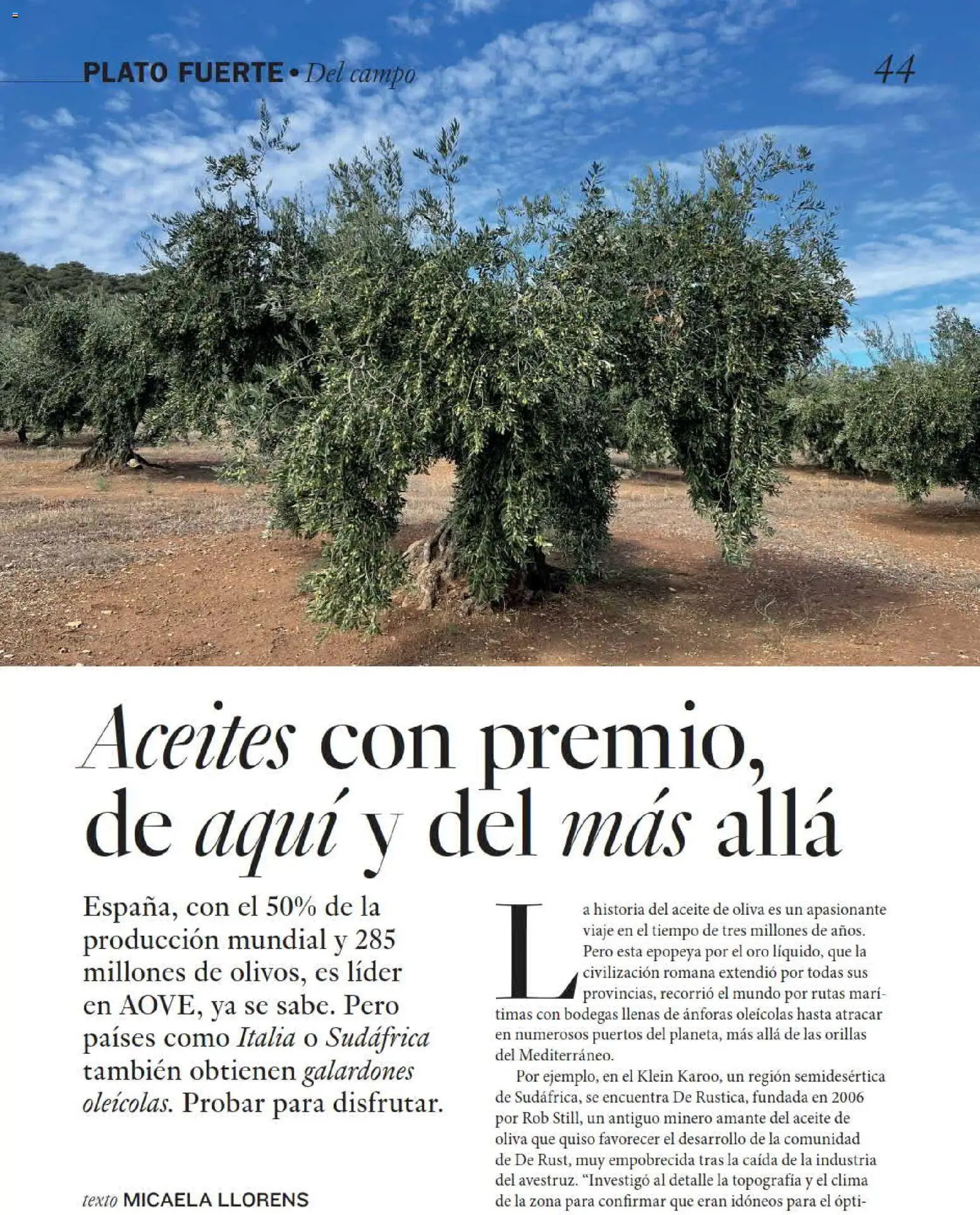 El Corte Inglés Gourmet Magazine