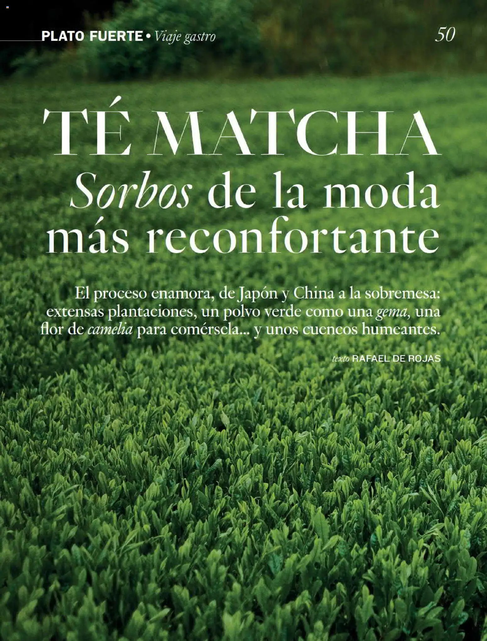 El Corte Inglés Gourmet Magazine