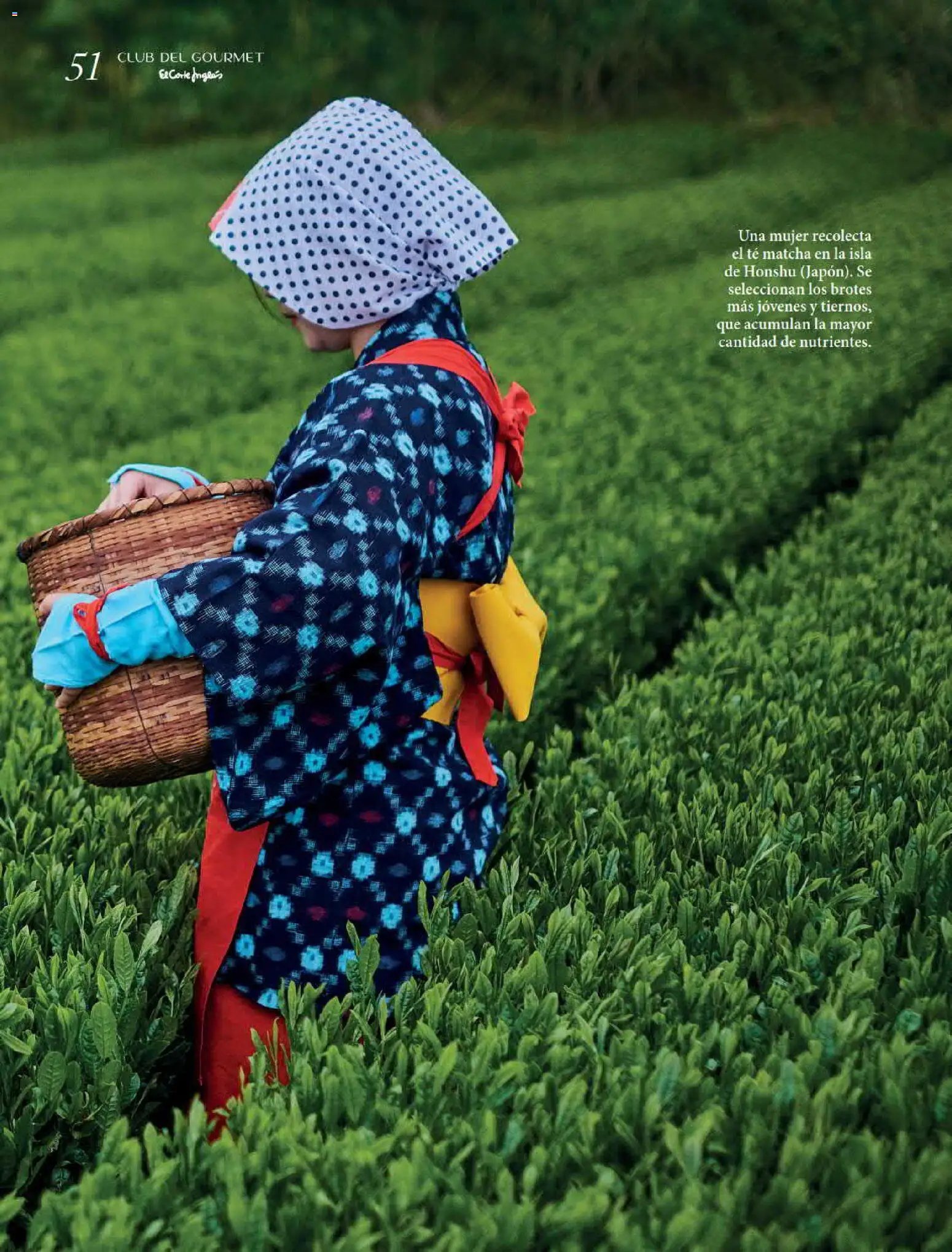 El Corte Inglés Gourmet Magazine