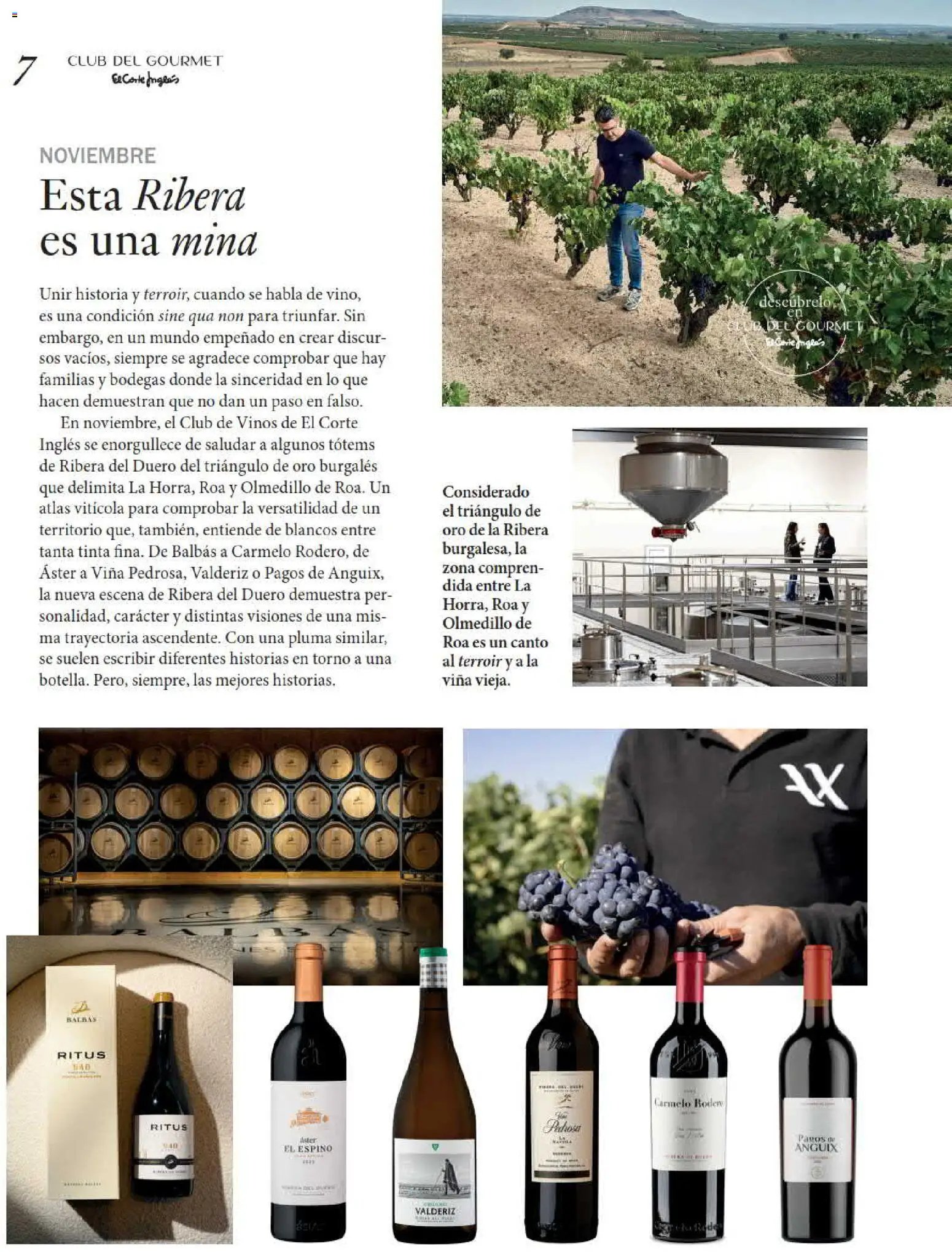 El Corte Inglés Gourmet Magazine