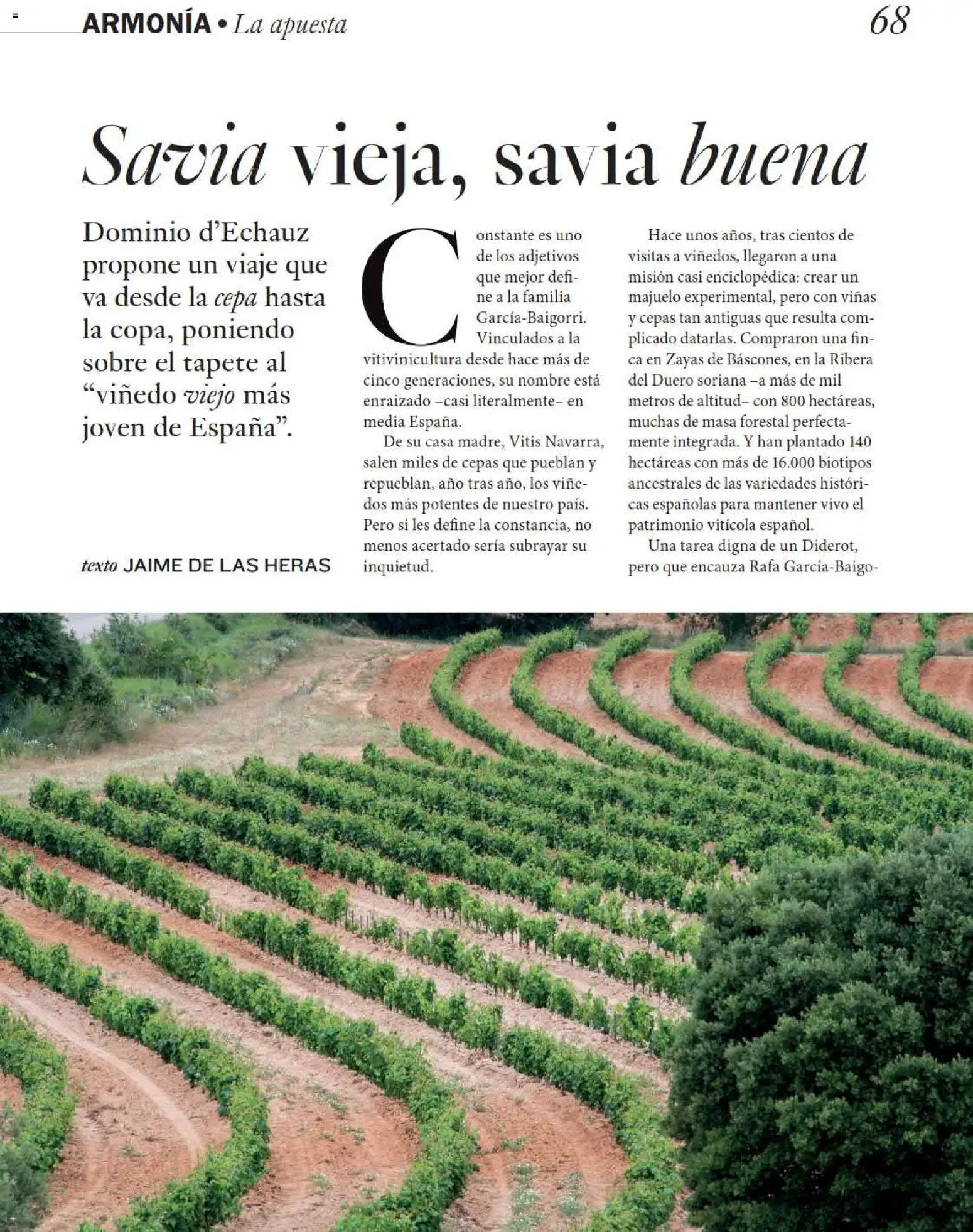 El Corte Inglés Gourmet Magazine