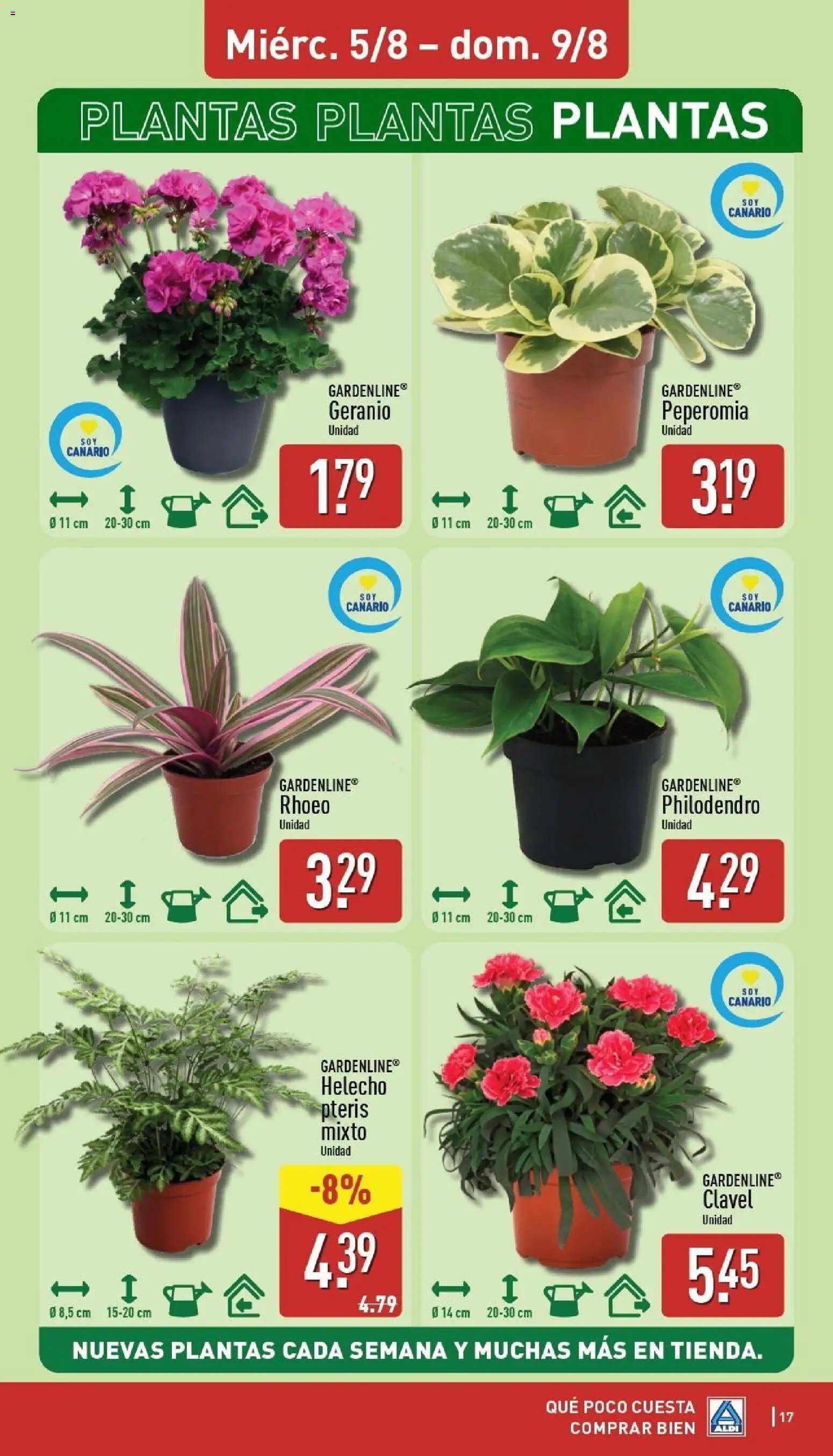 Aldi folleto Canarias