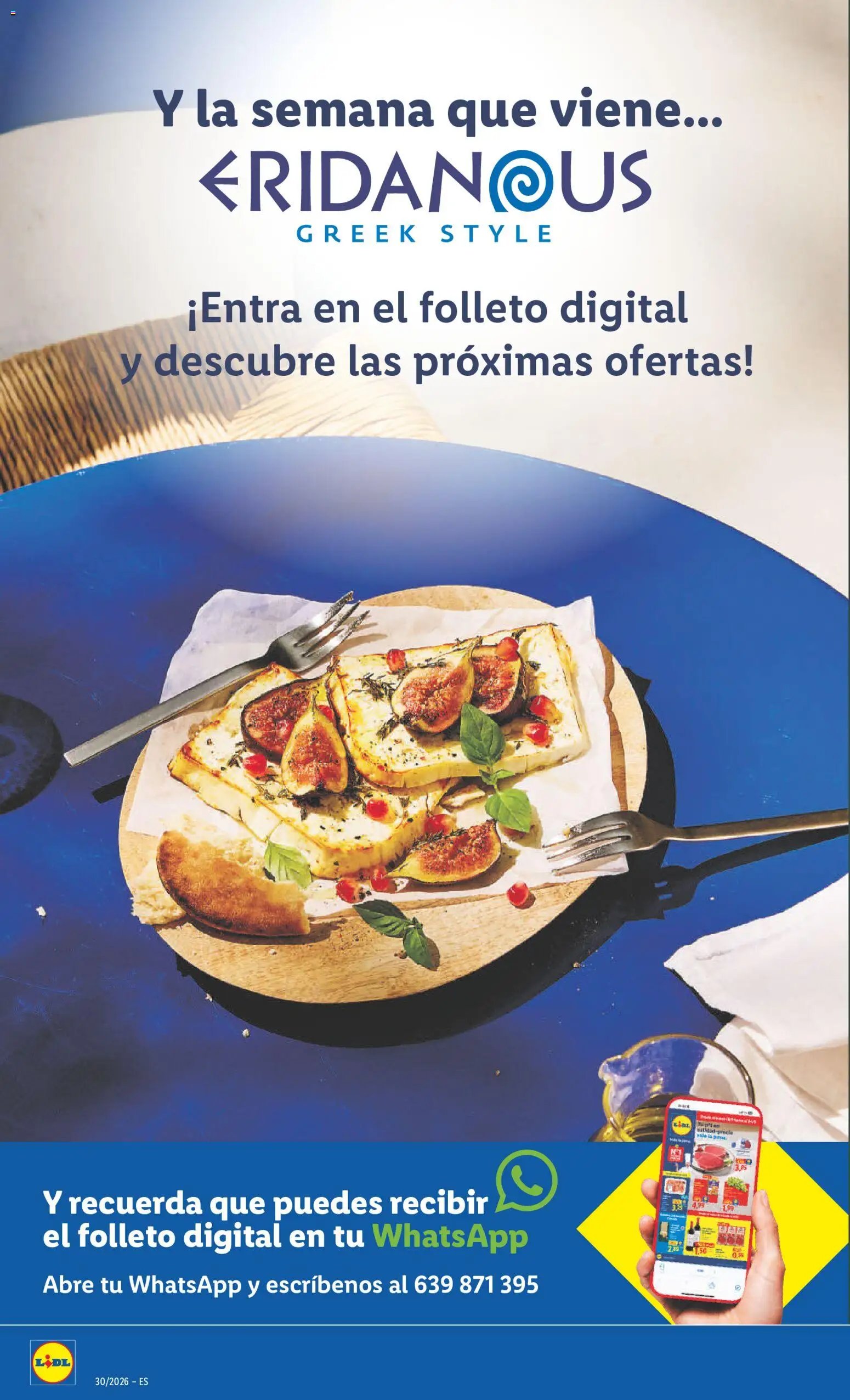 Lidl folleto de bazar