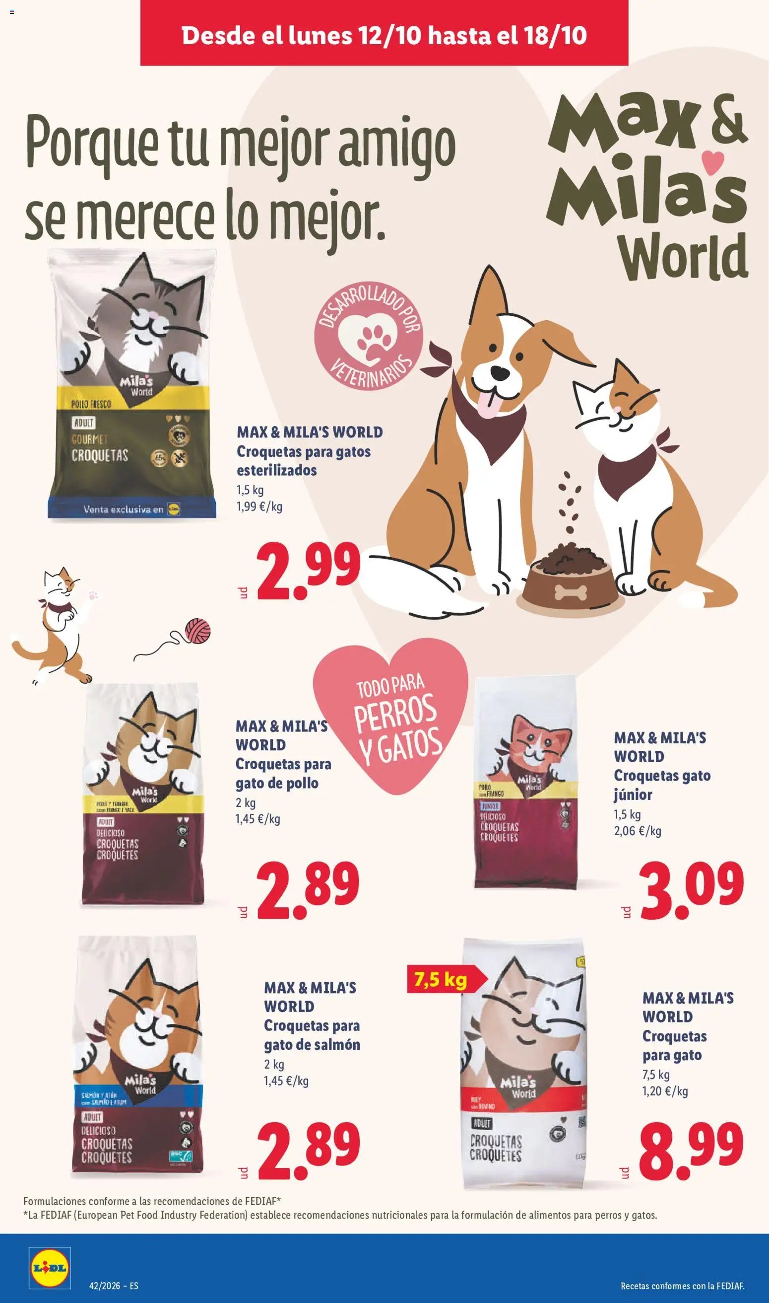 Lidl folleto de bazar