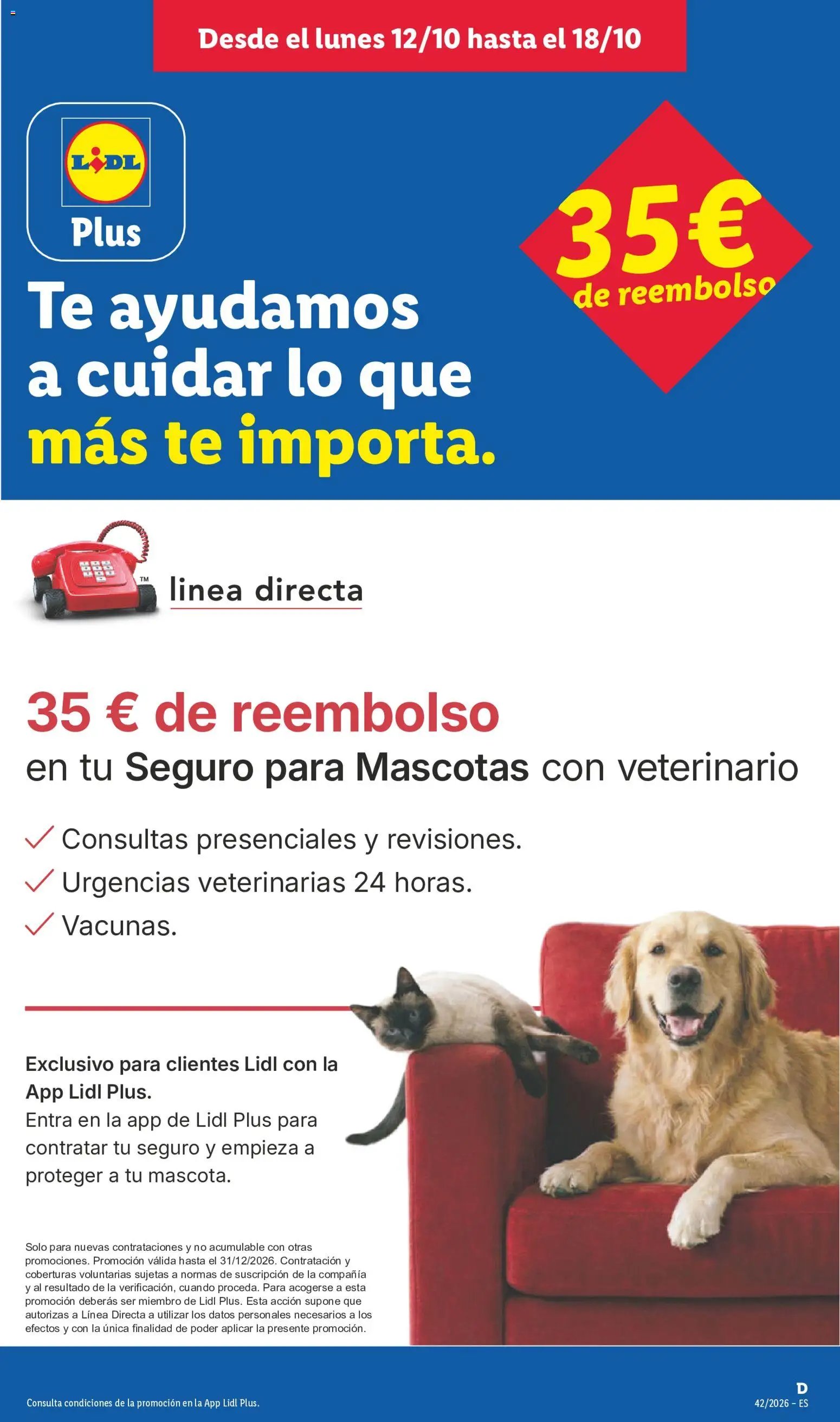 Lidl folleto de bazar