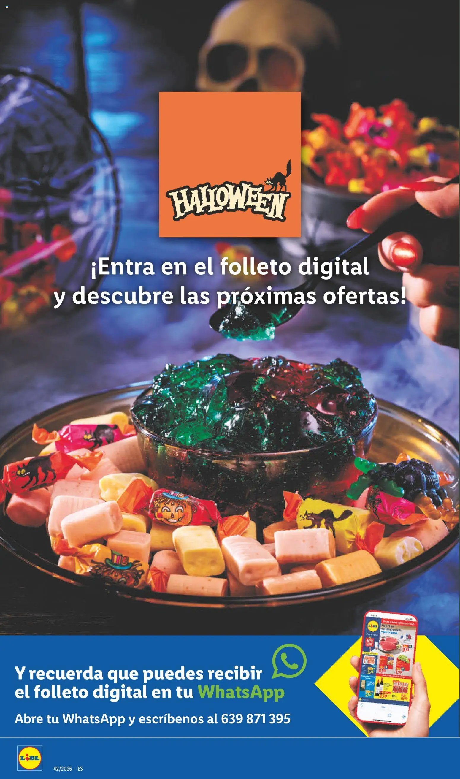 Lidl folleto de bazar