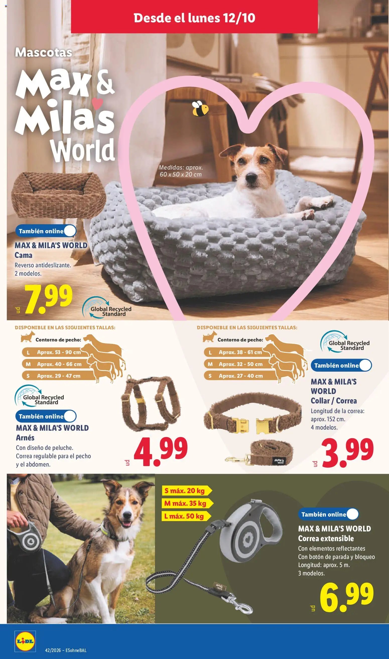 Lidl folleto de bazar