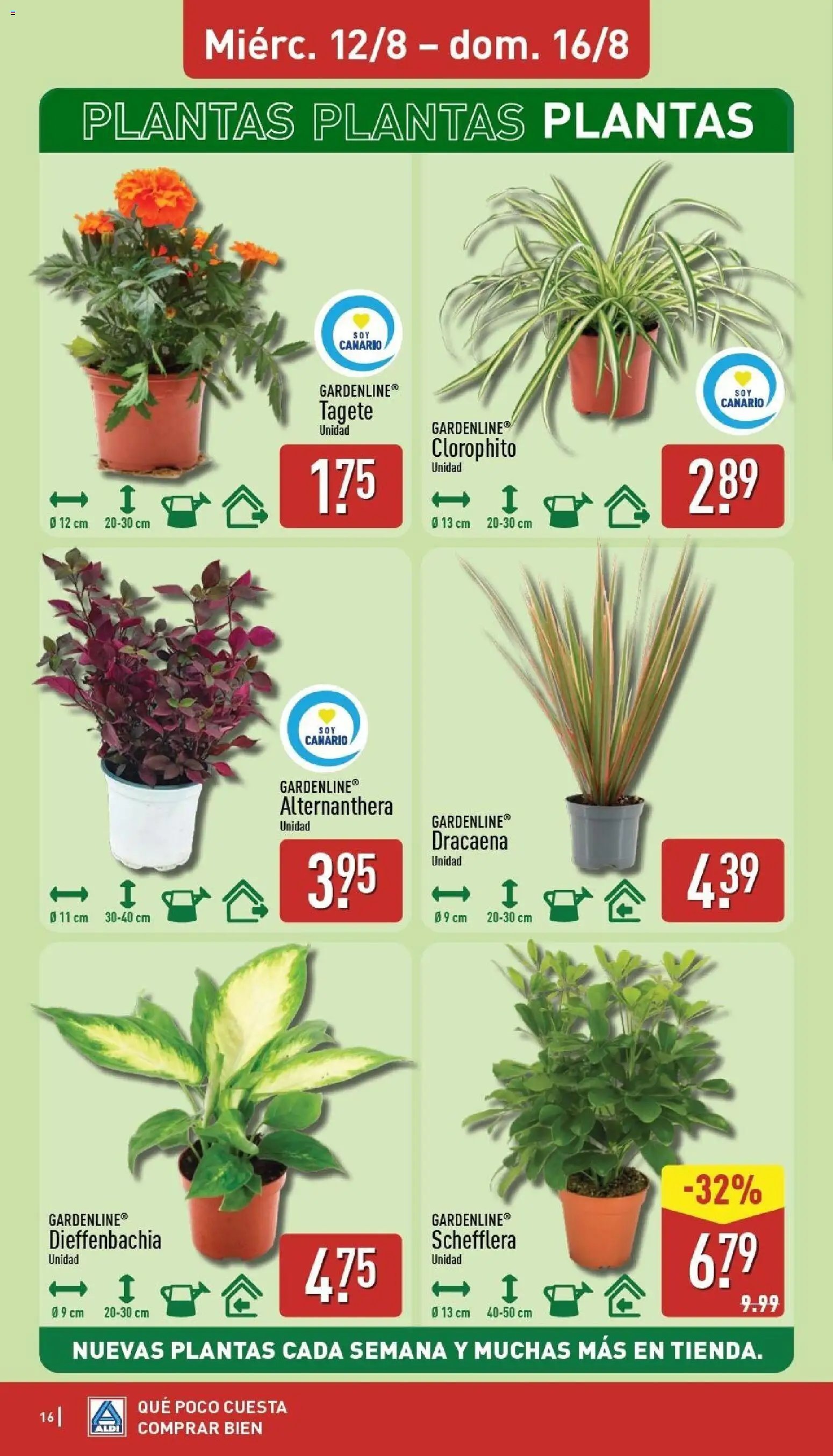 Aldi folleto Canarias
