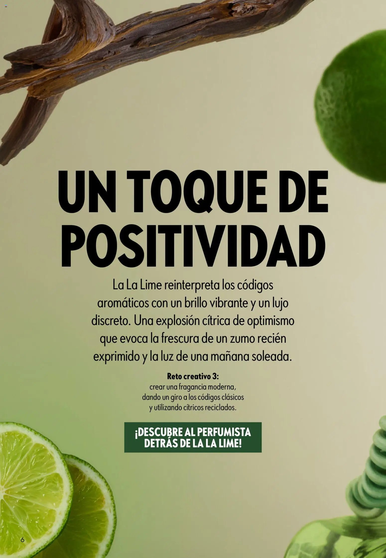 Oriflame - Catálogo Campaña 11