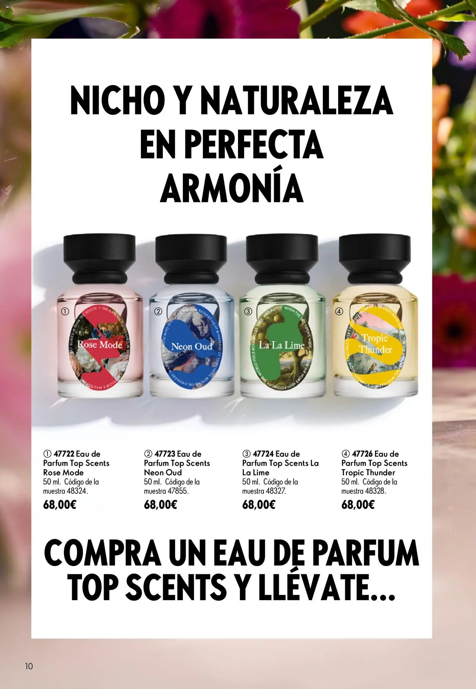 Oriflame - Catálogo Campaña 11