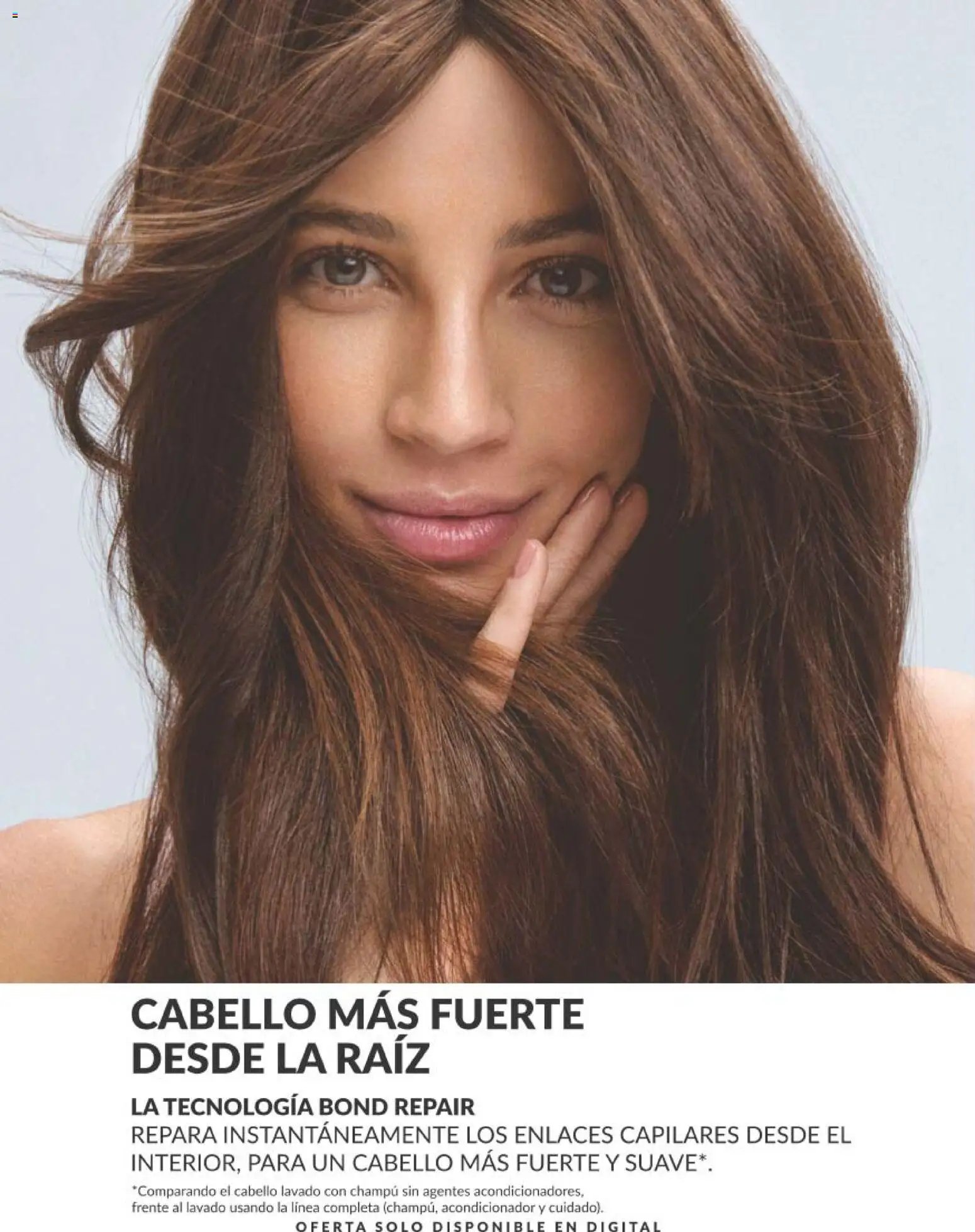Catálogo AVON campaña 5