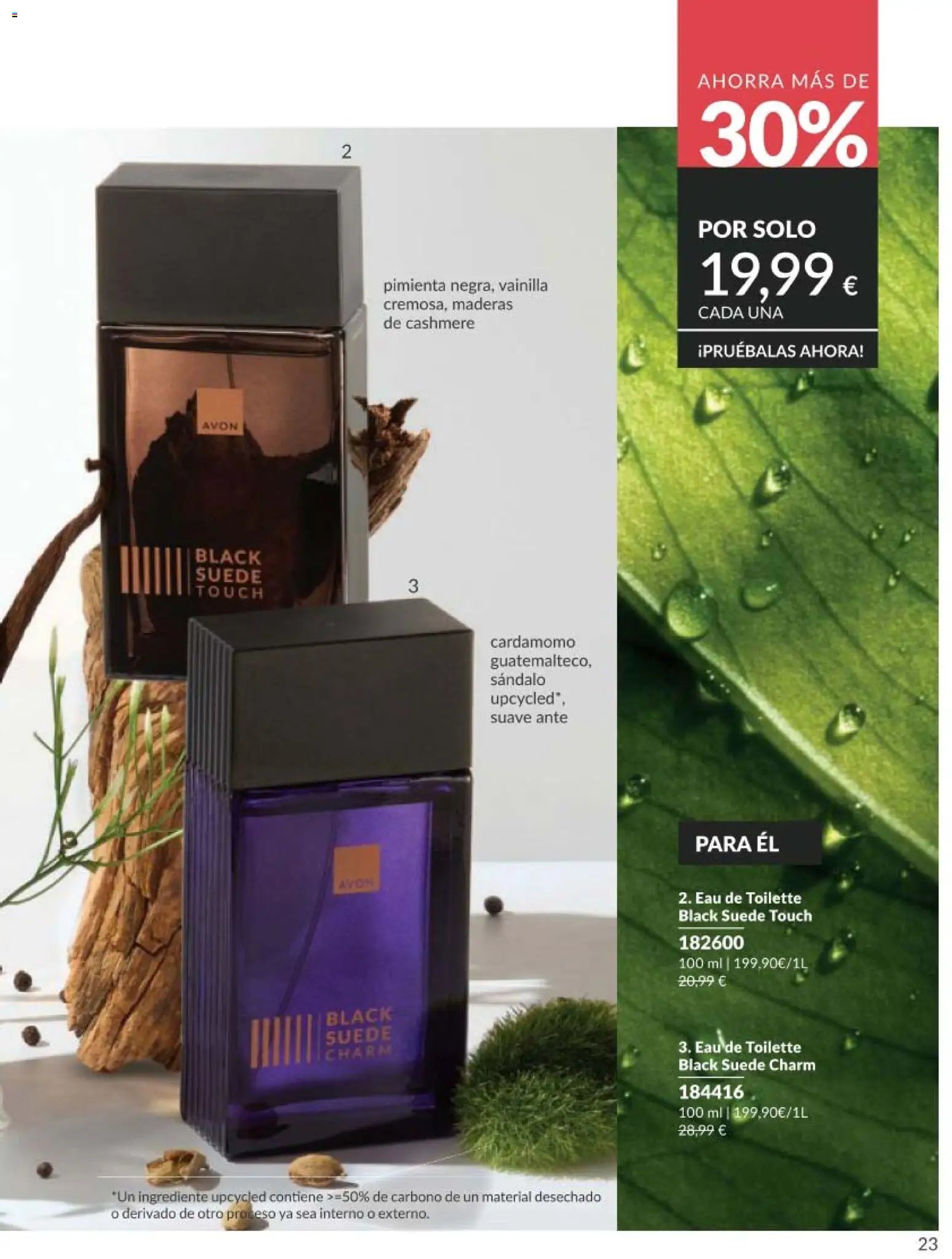 Catálogo AVON campaña 5