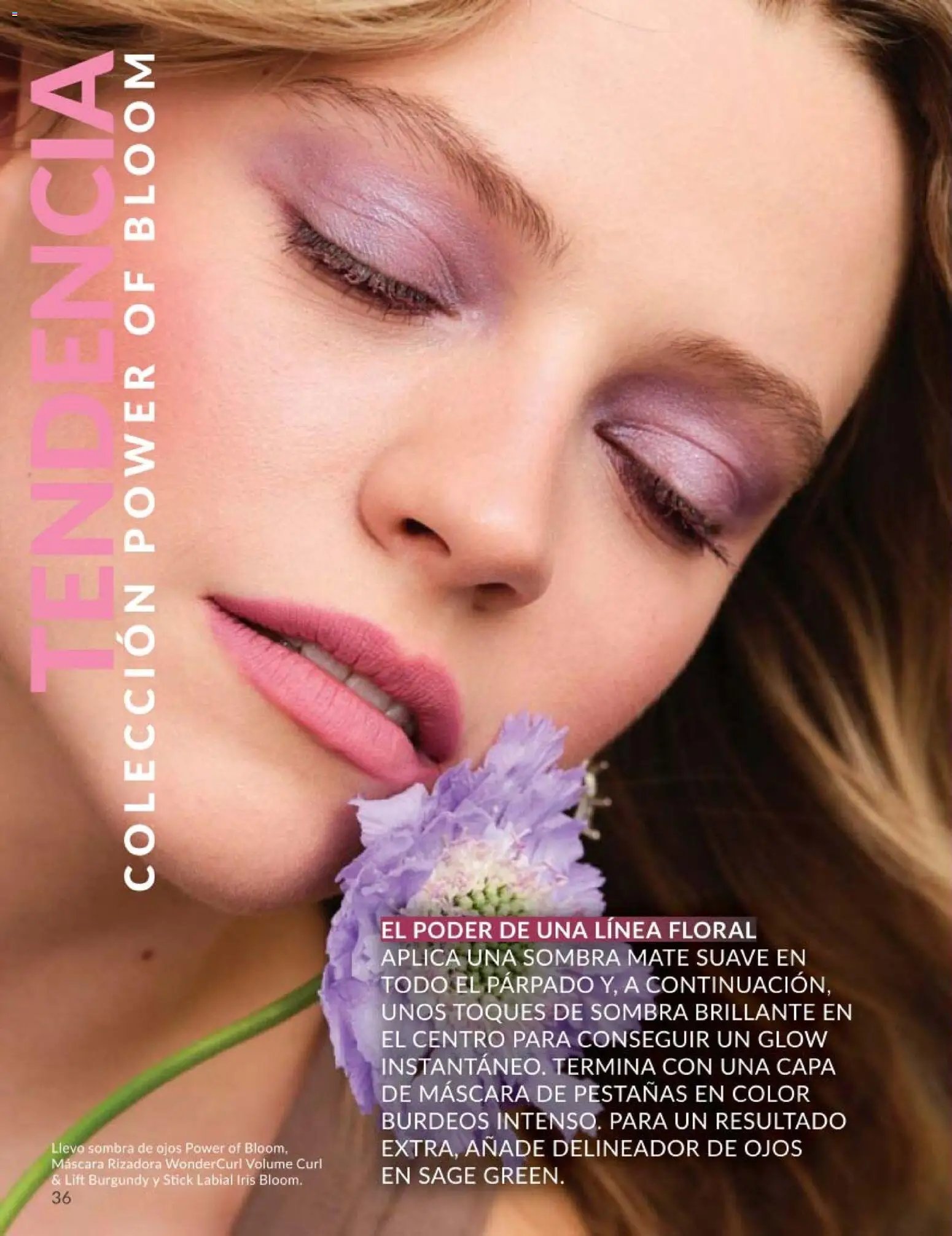 Catálogo AVON campaña 5