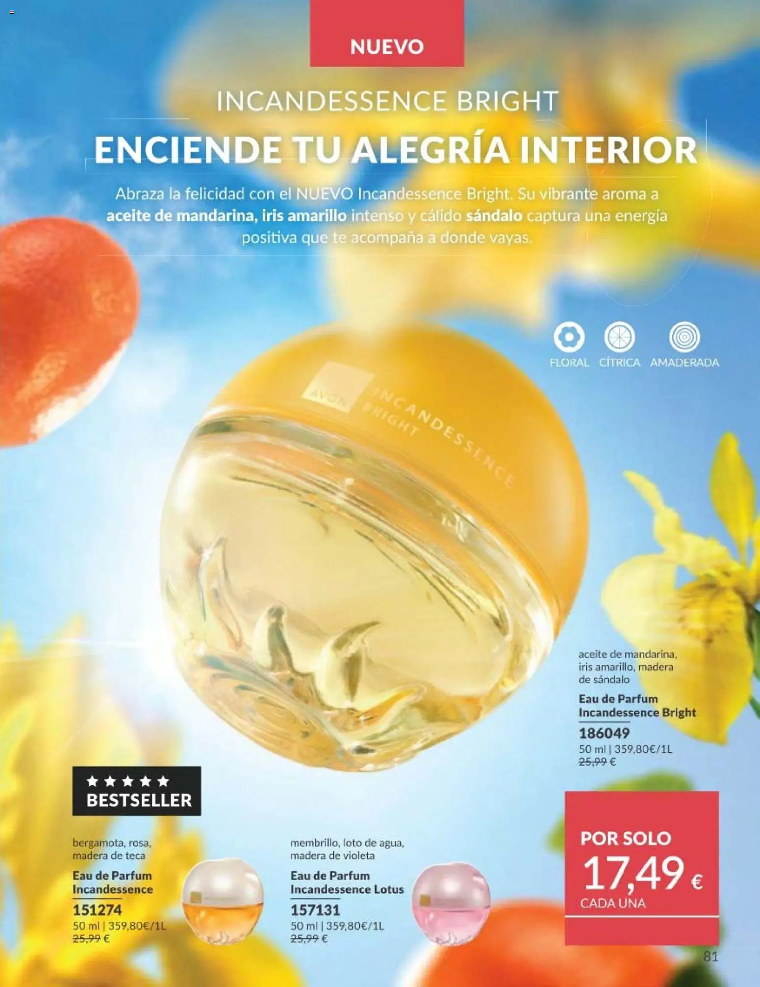 Catálogo AVON campaña 5