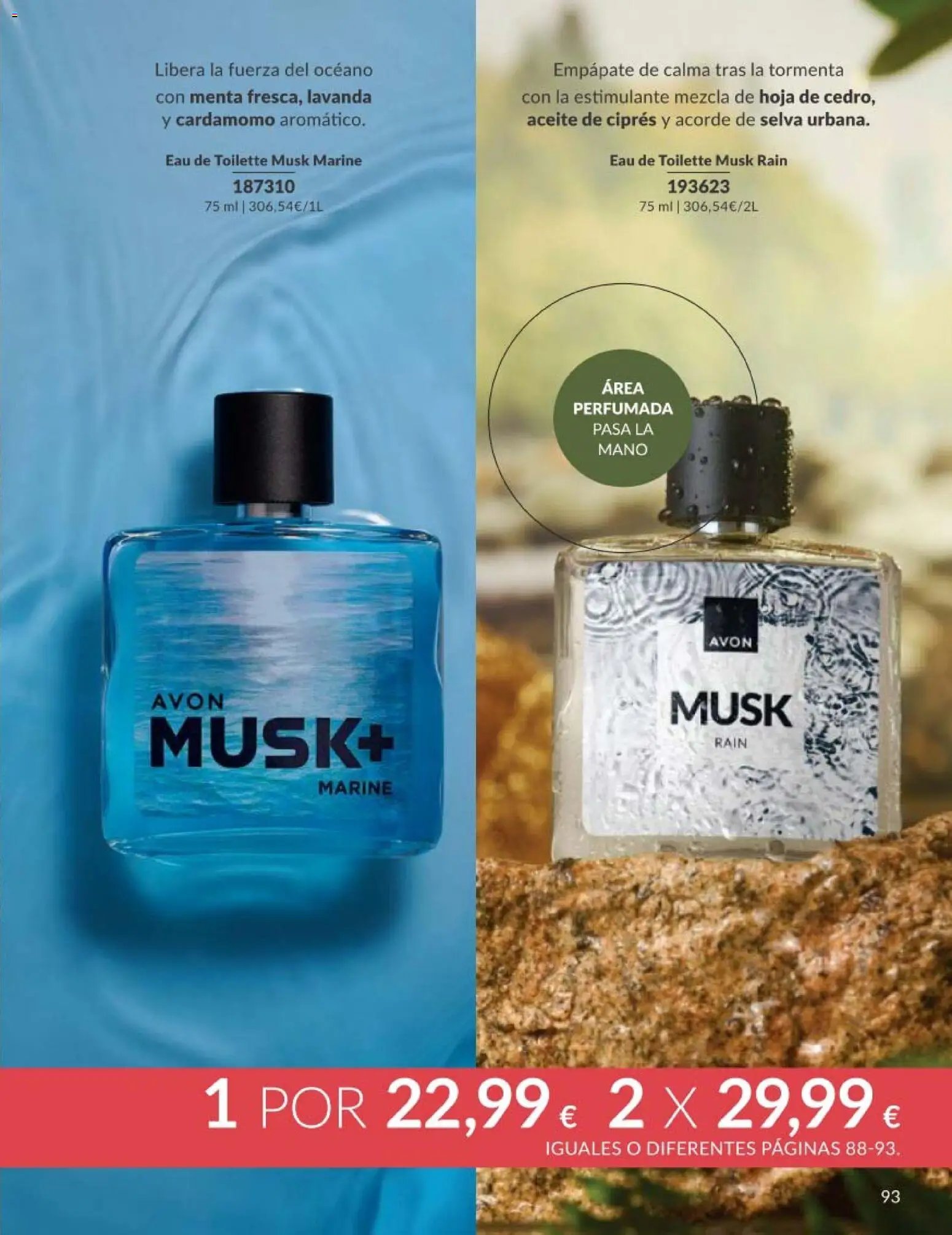 Catálogo AVON campaña 5
