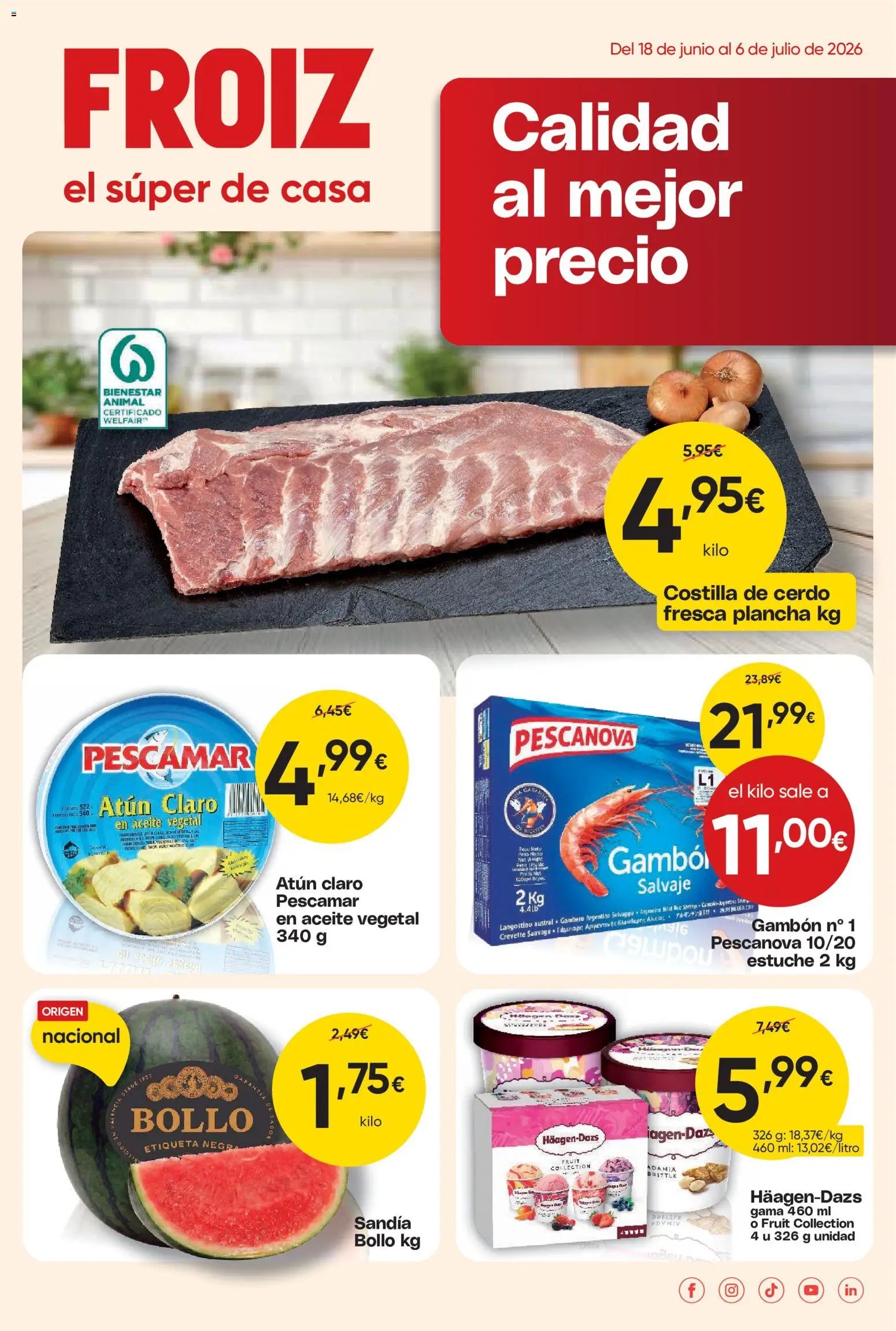 Froiz folleto