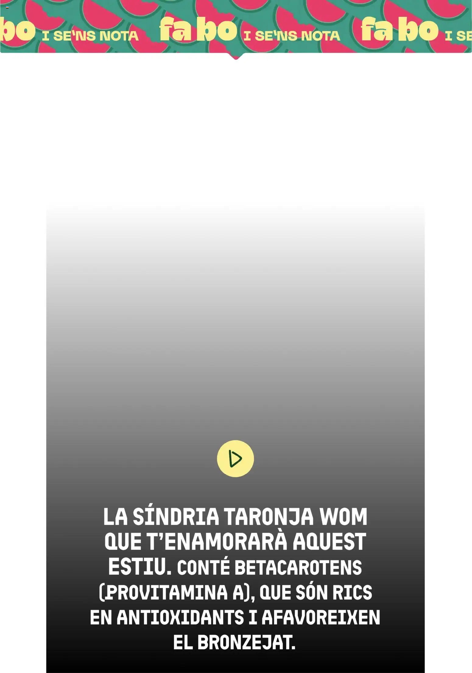 Bonpreu folleto