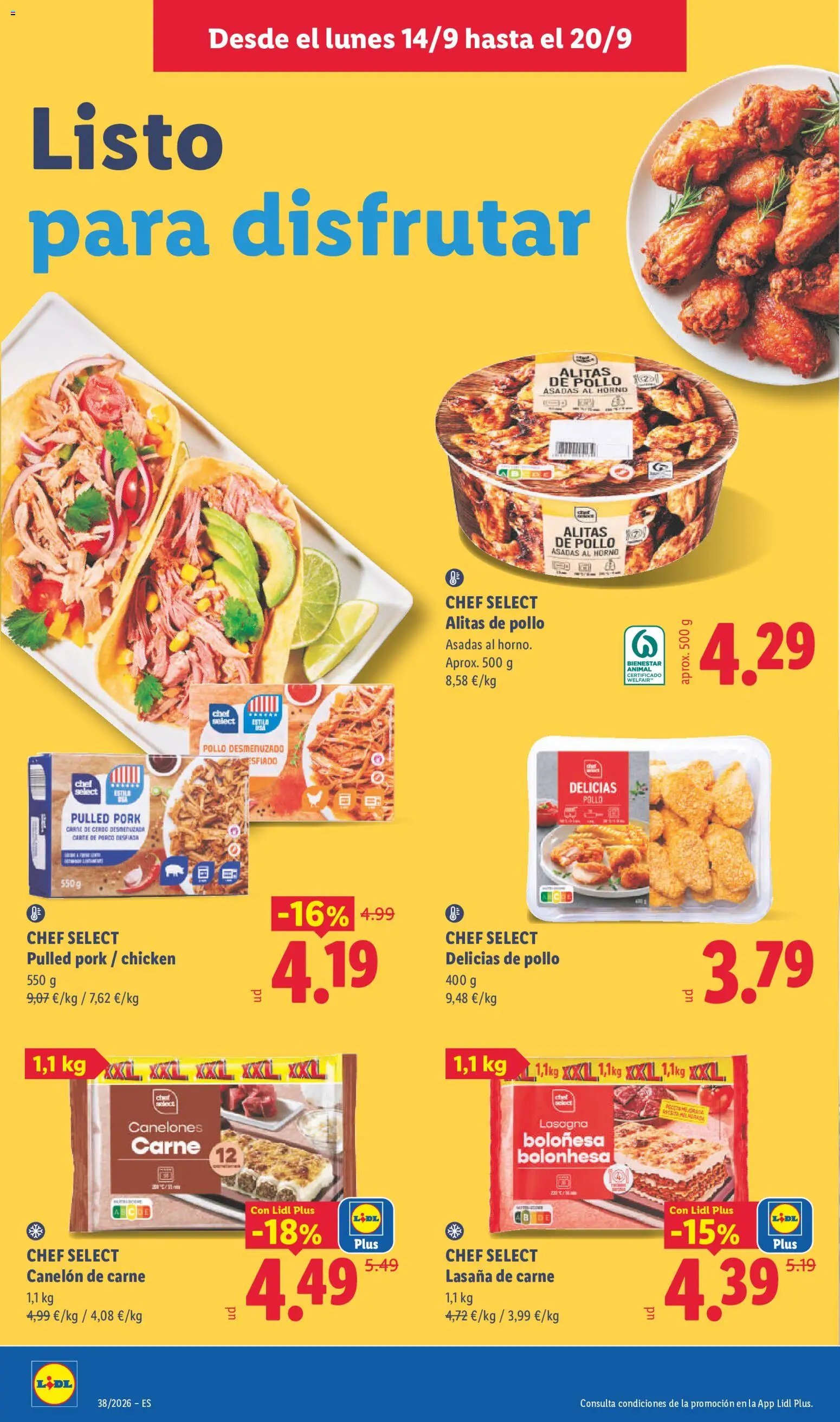 Lidl folleto