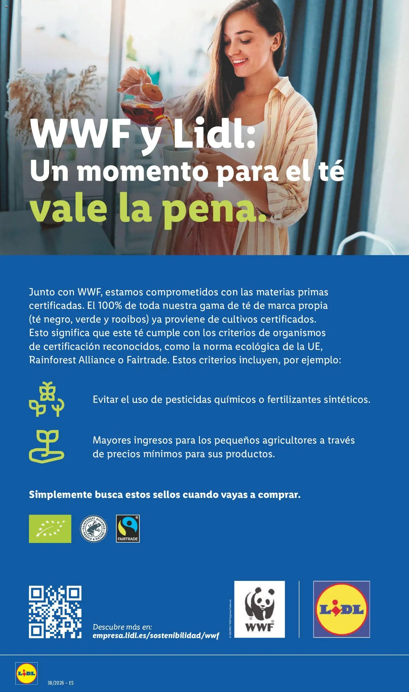 Lidl folleto