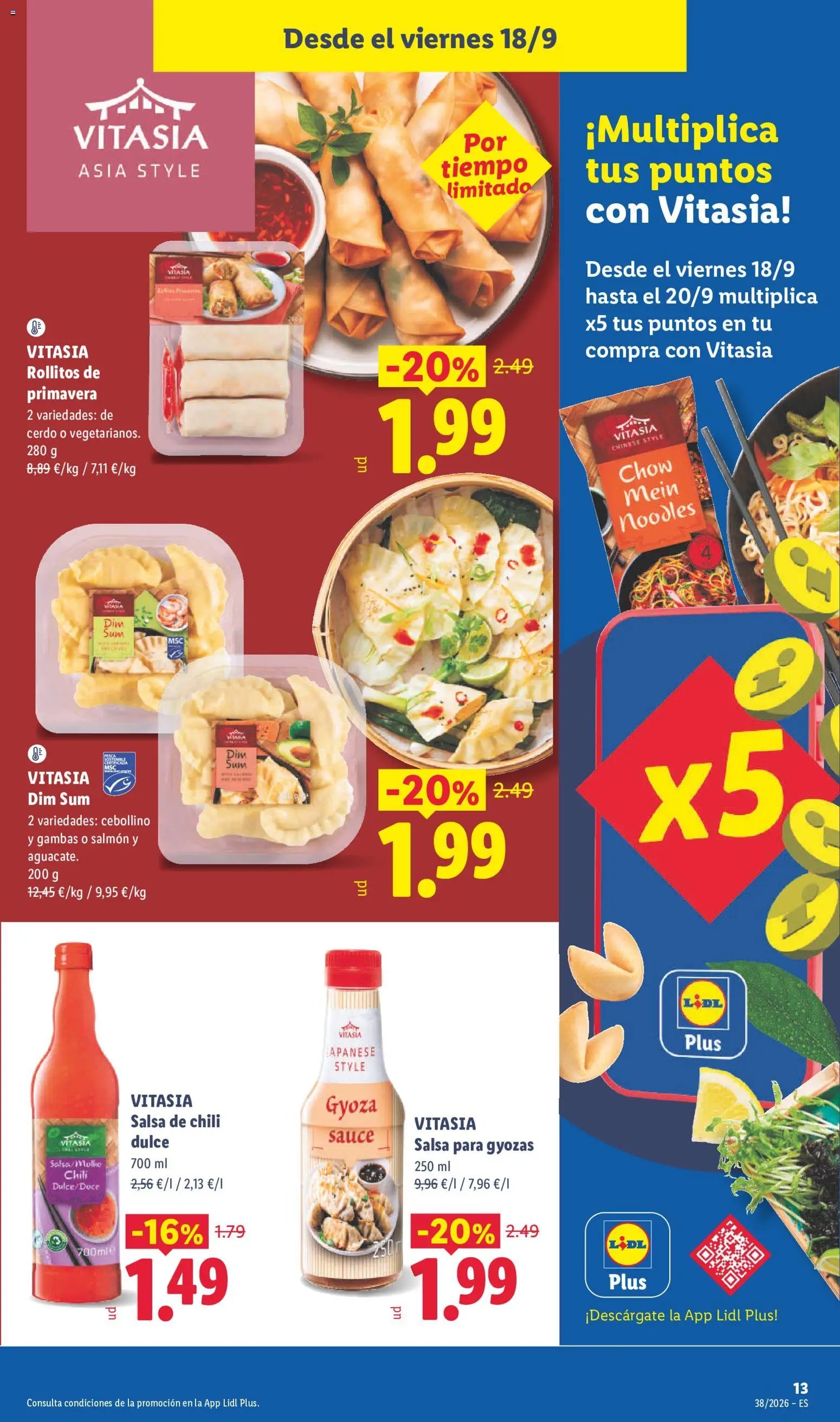 Lidl folleto