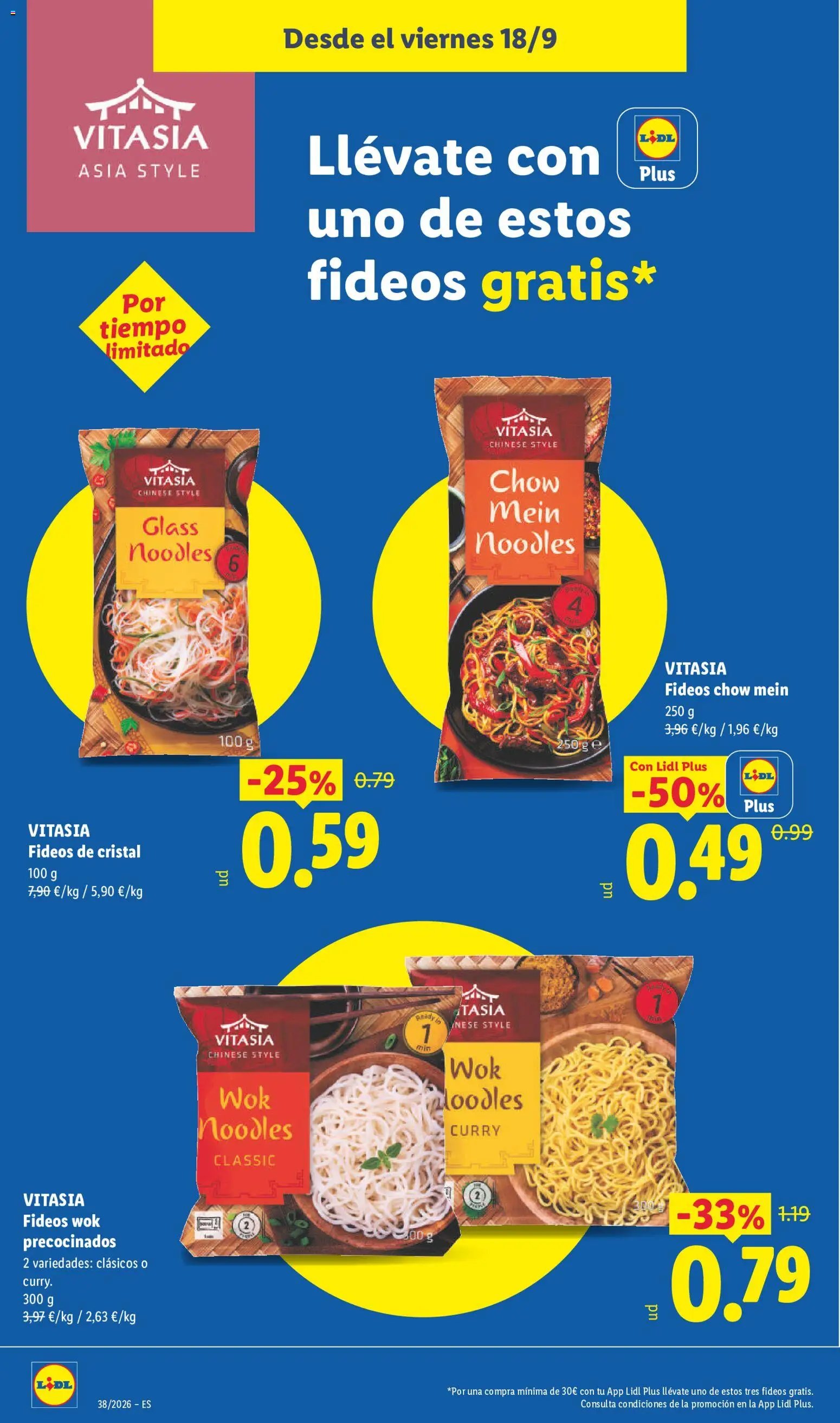 Lidl folleto