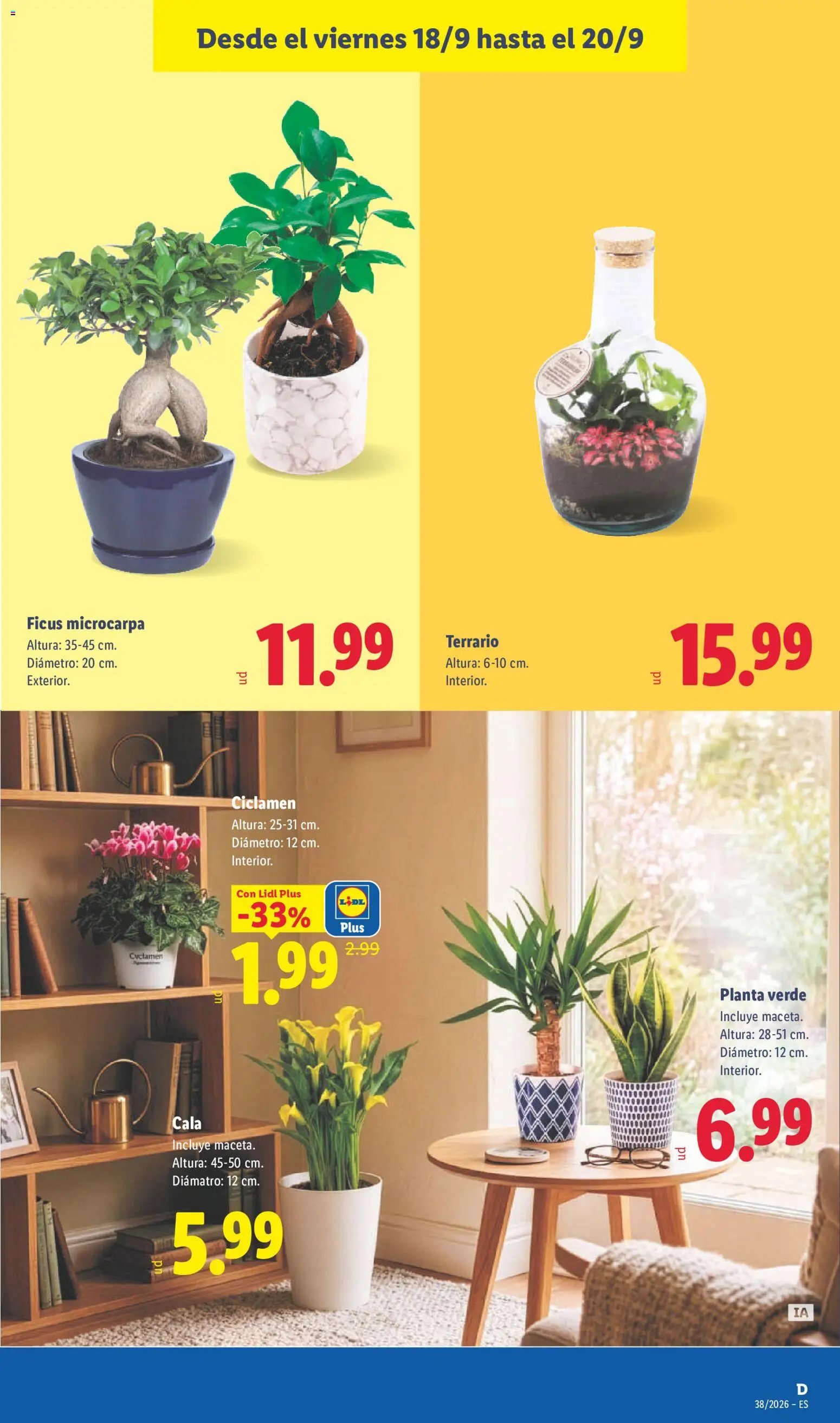 Lidl folleto