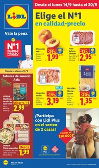 Lidl folleto