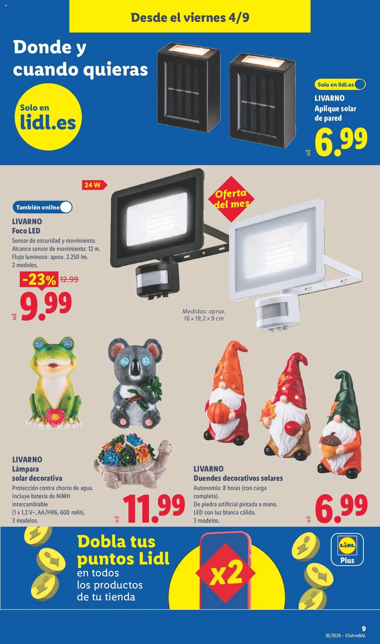 Lidl folleto de bazar