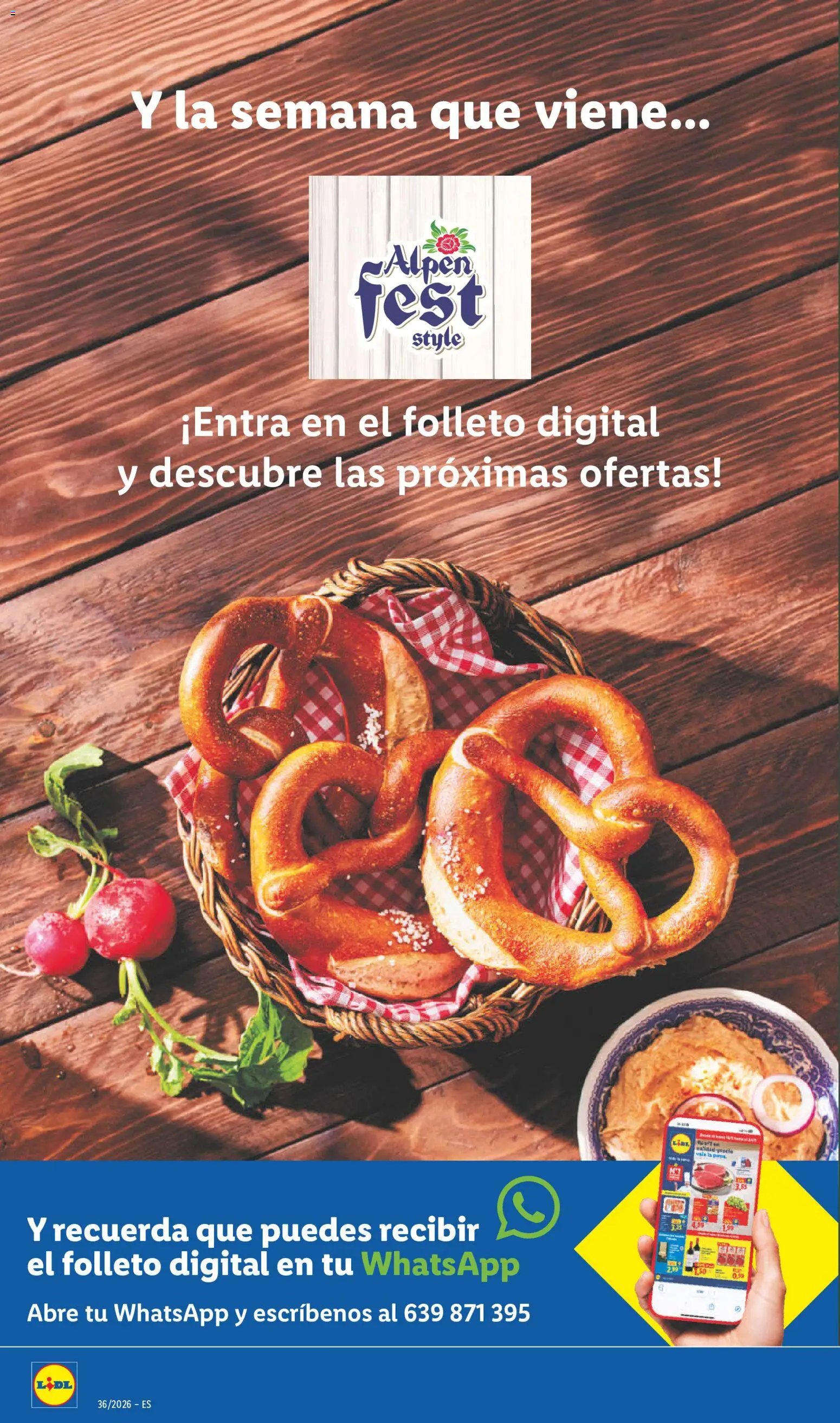 Lidl folleto de bazar