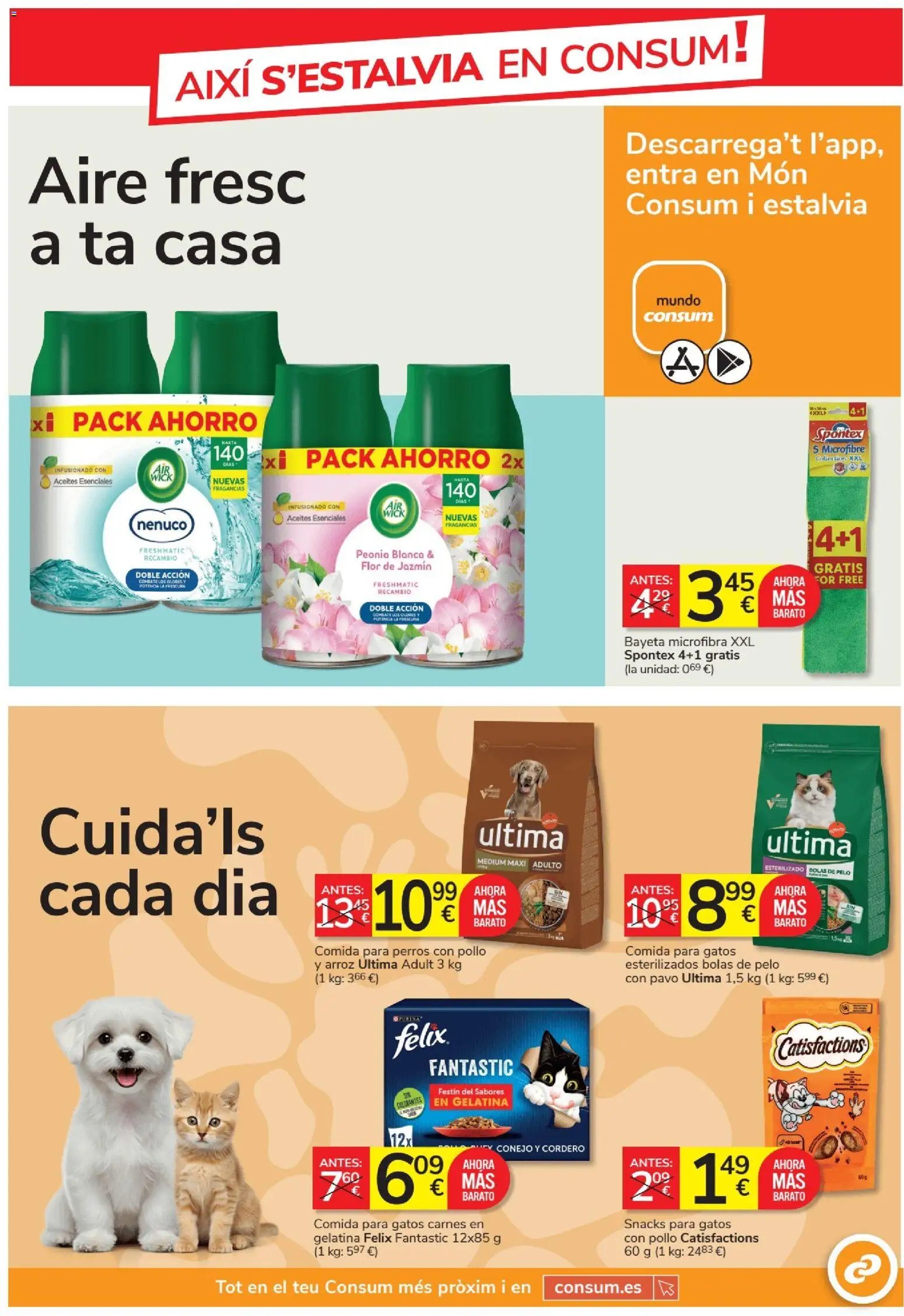 Consum folleto