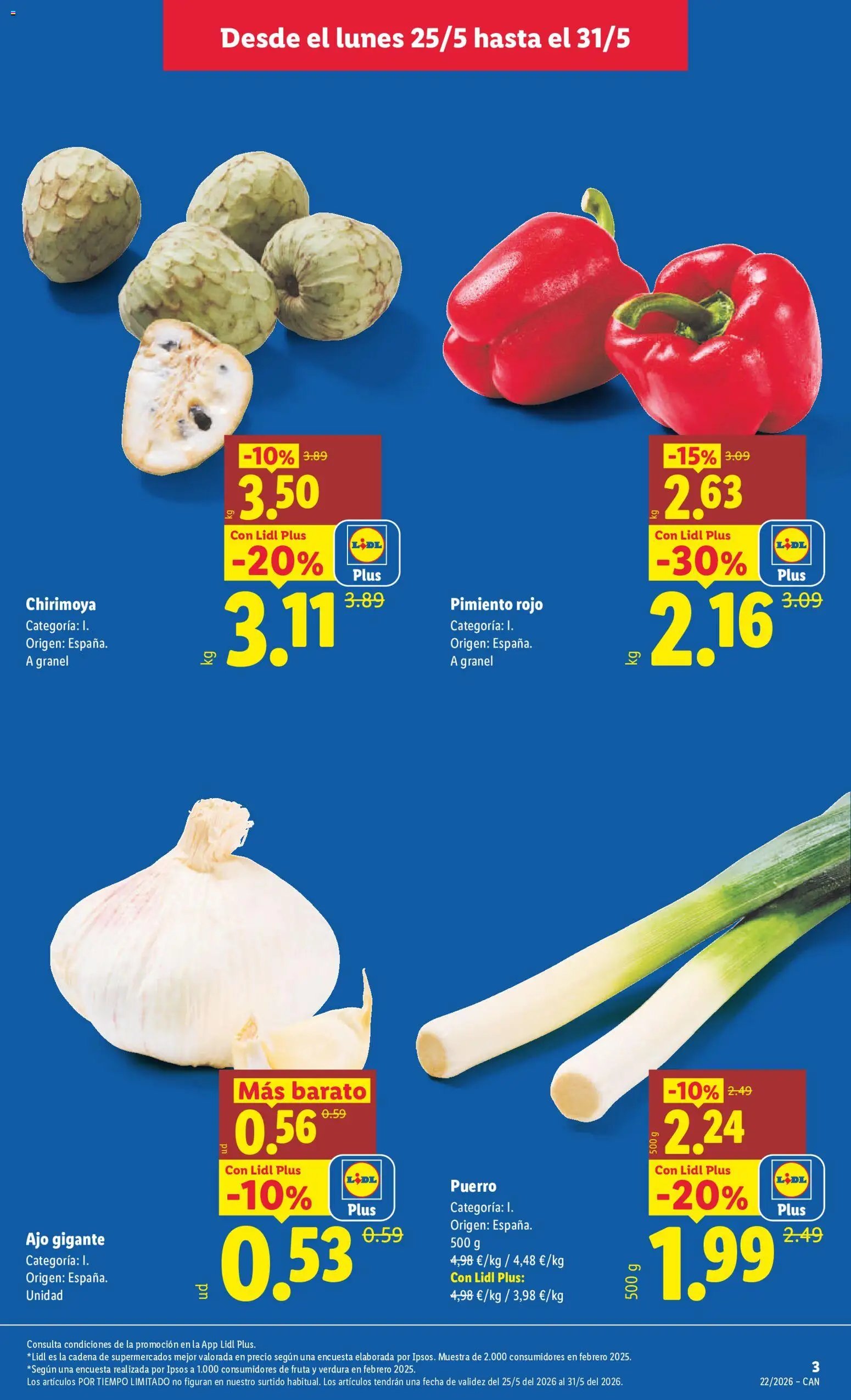 Lidl folleto
