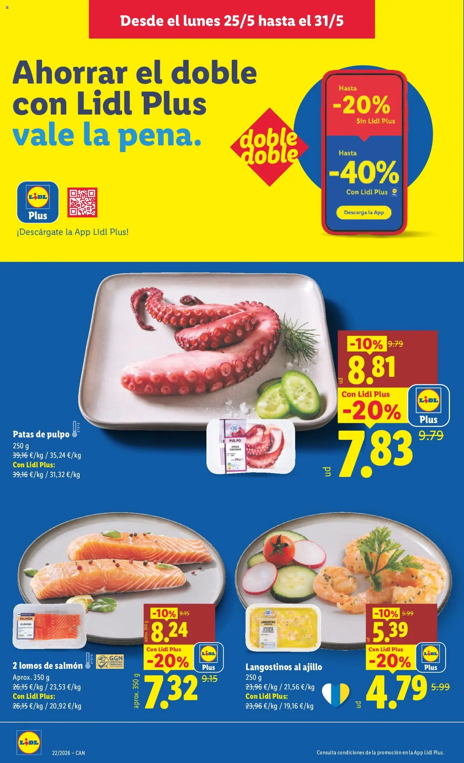 Lidl folleto