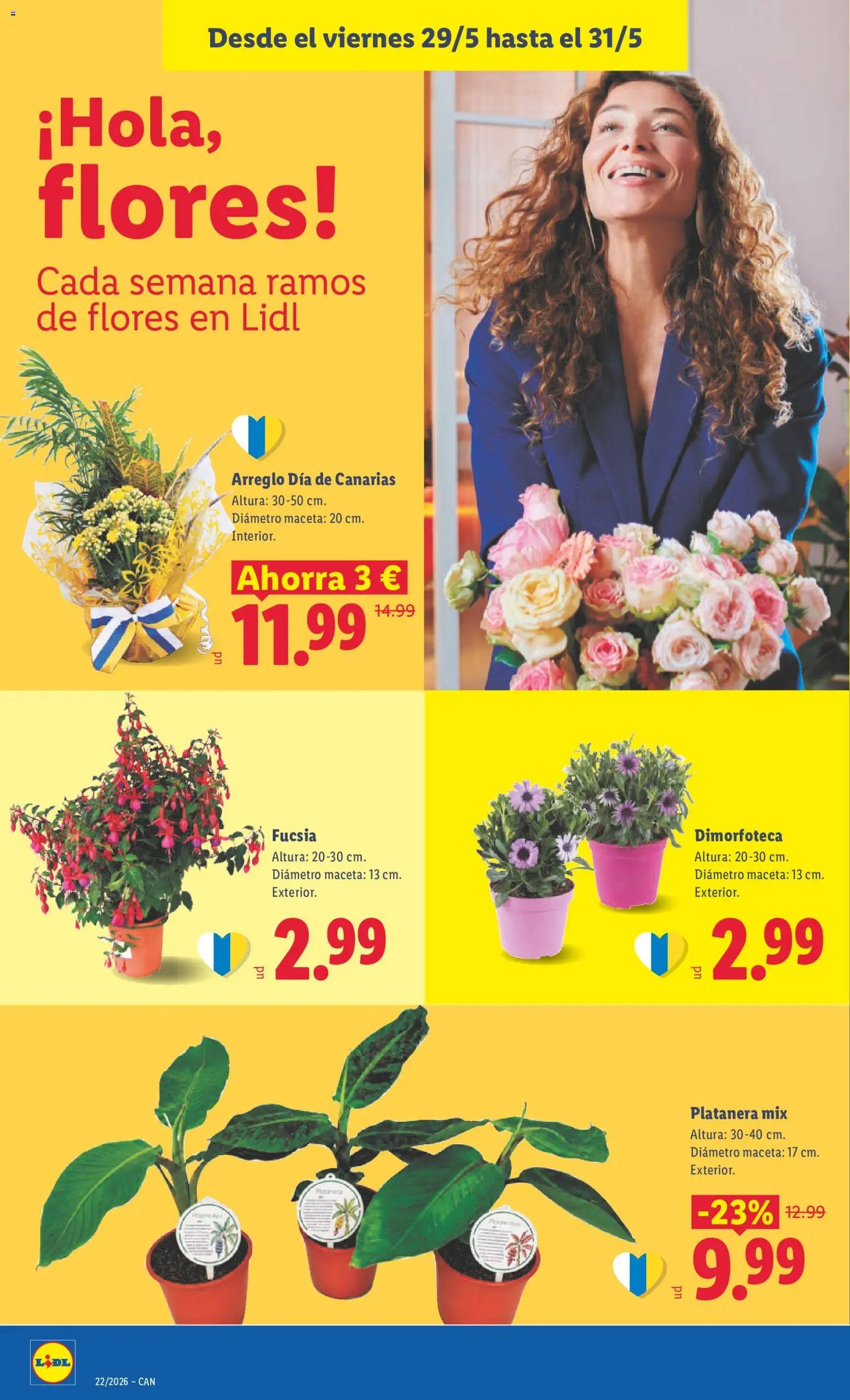 Lidl folleto