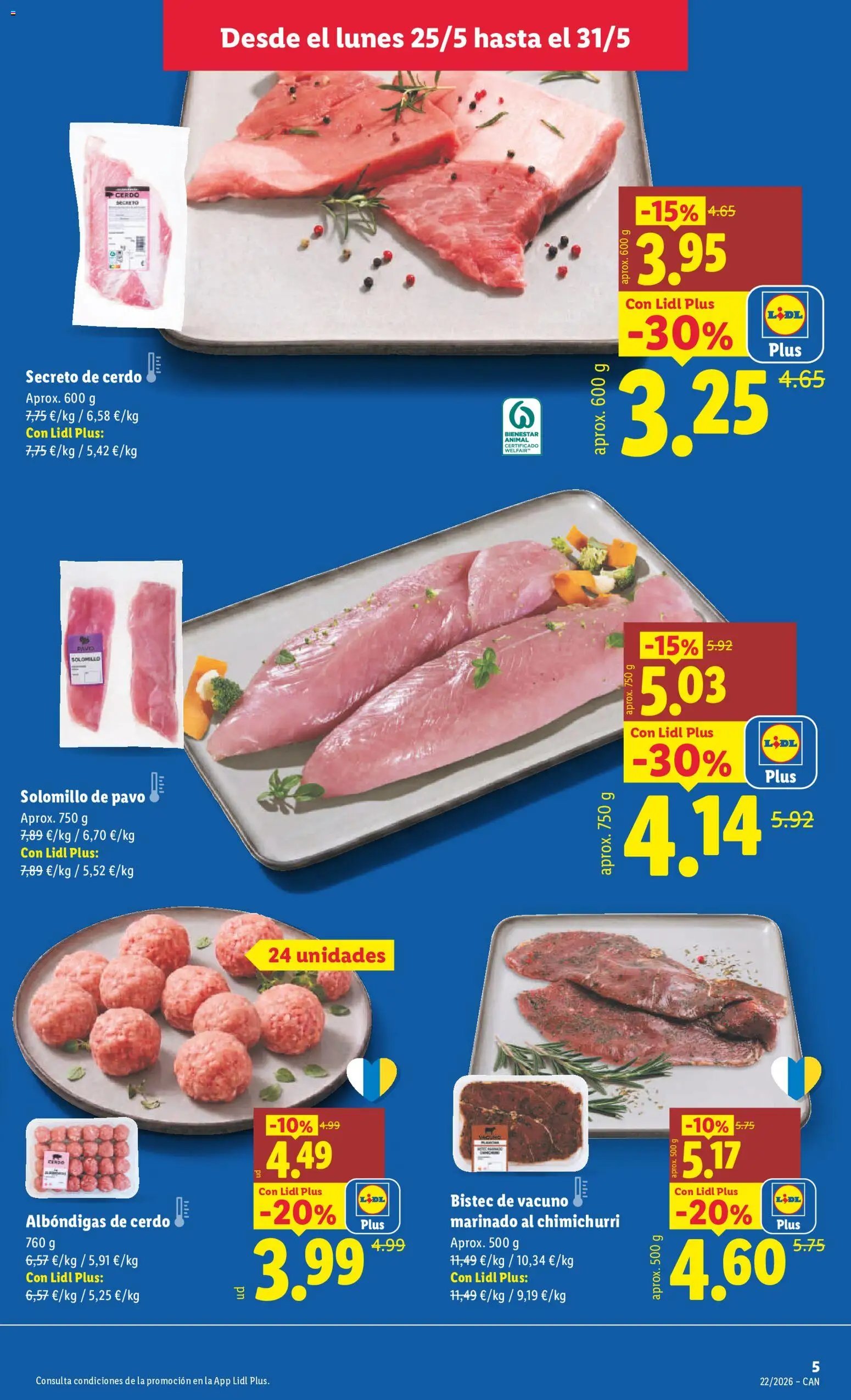 Lidl folleto