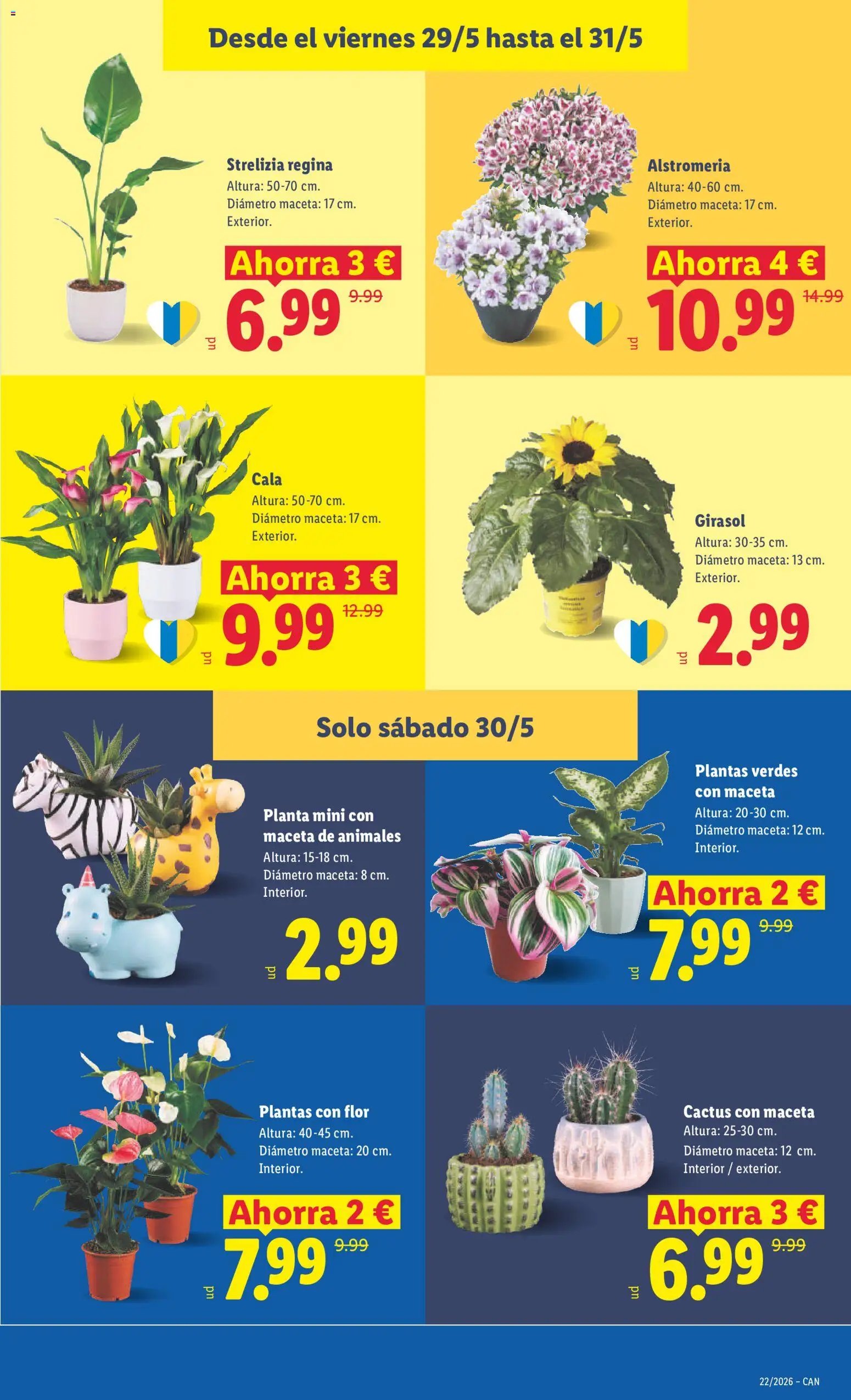 Lidl folleto