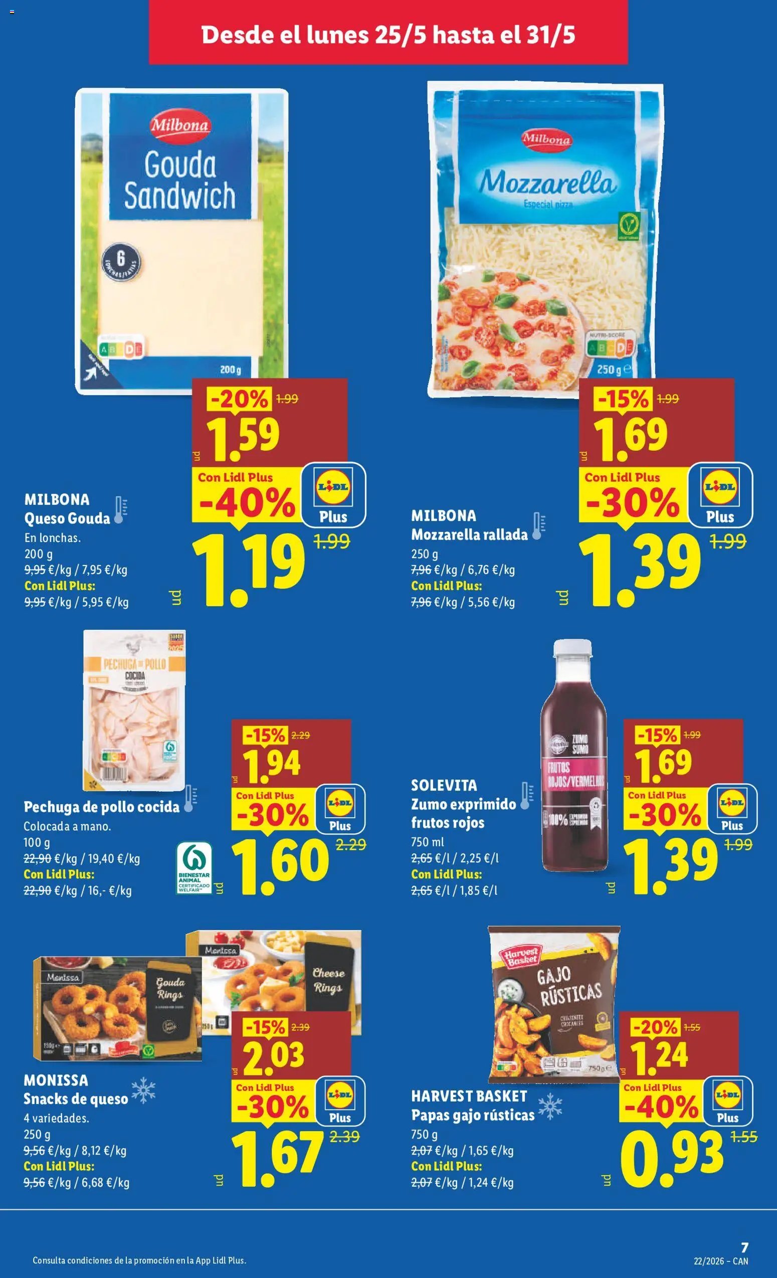 Lidl folleto
