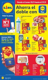 Lidl folleto