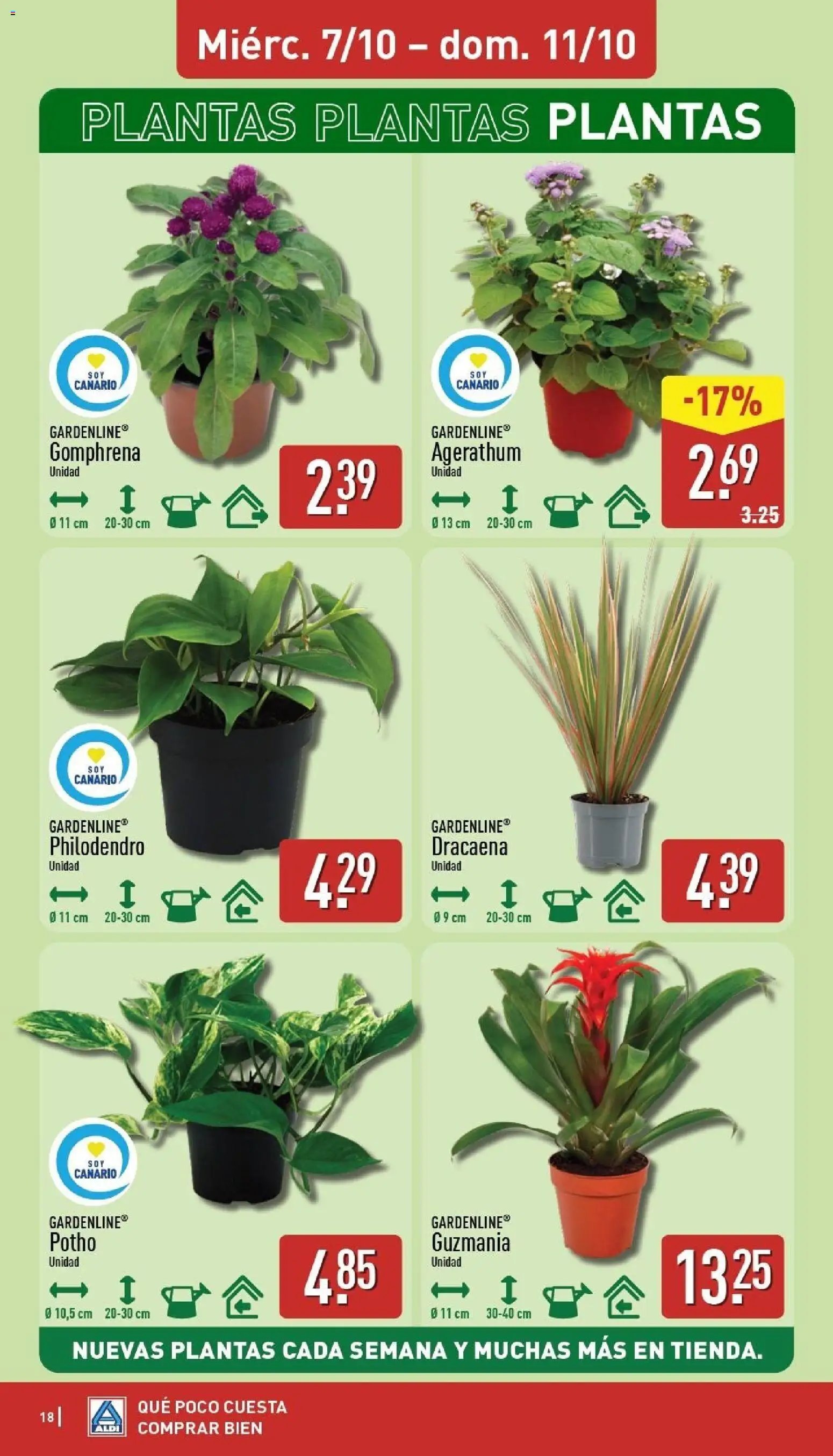 Aldi folleto Canarias