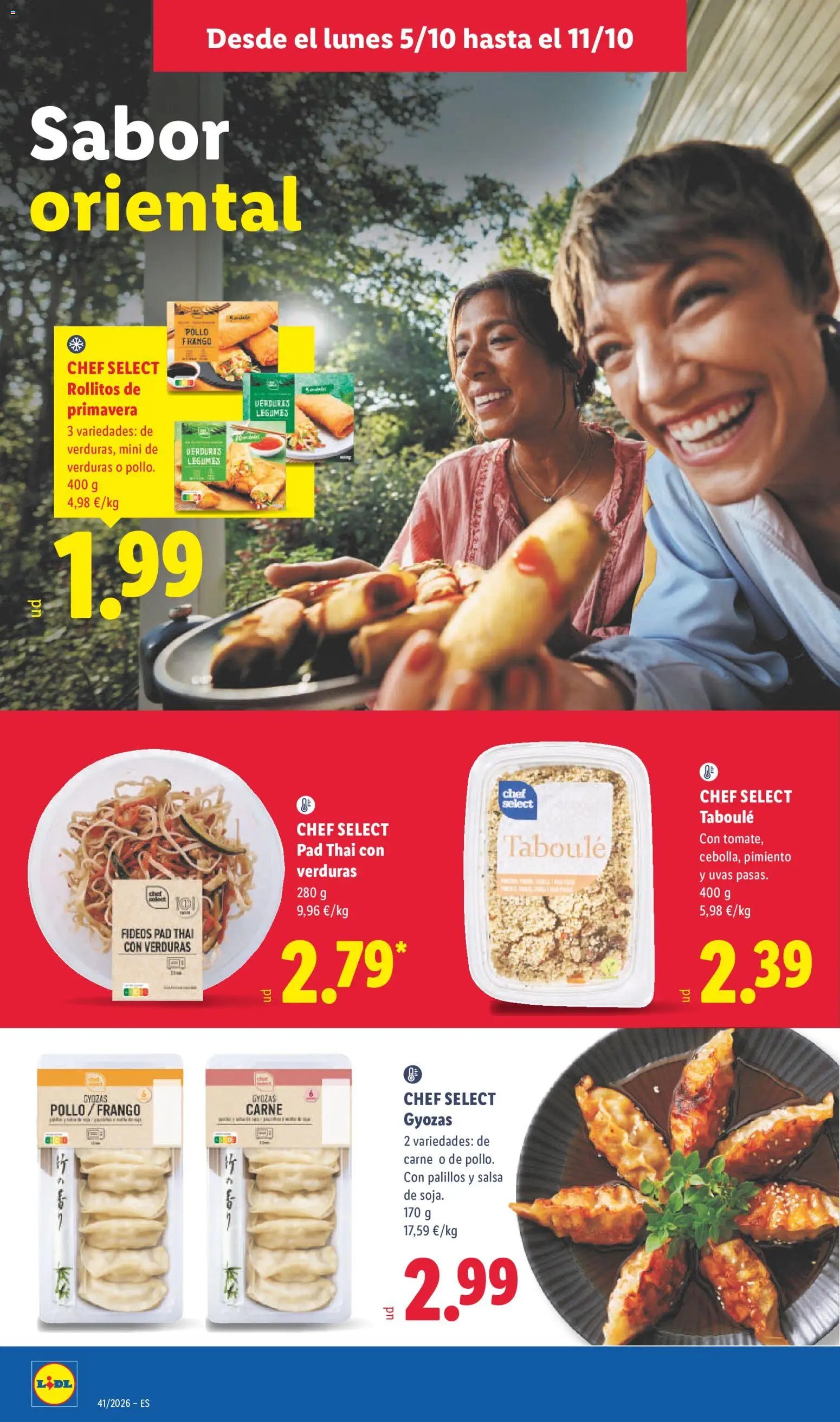 Lidl folleto
