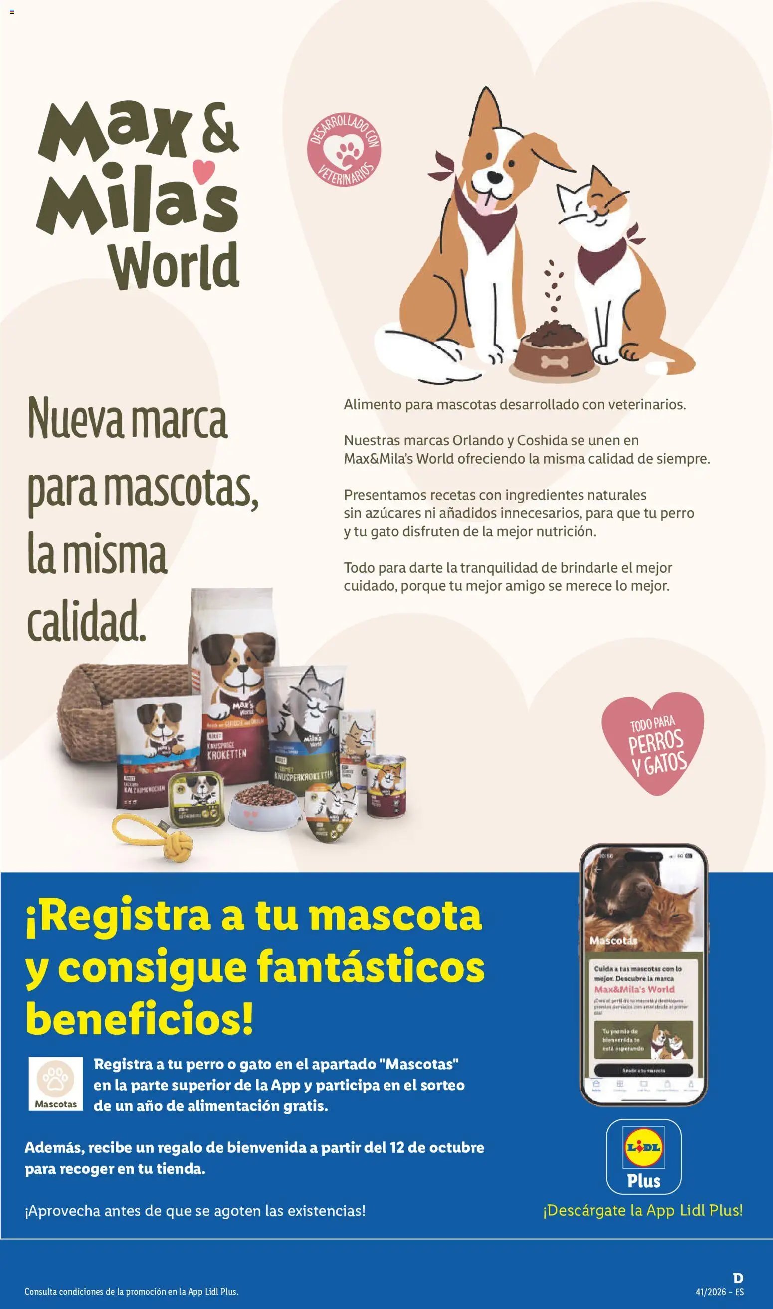 Lidl folleto