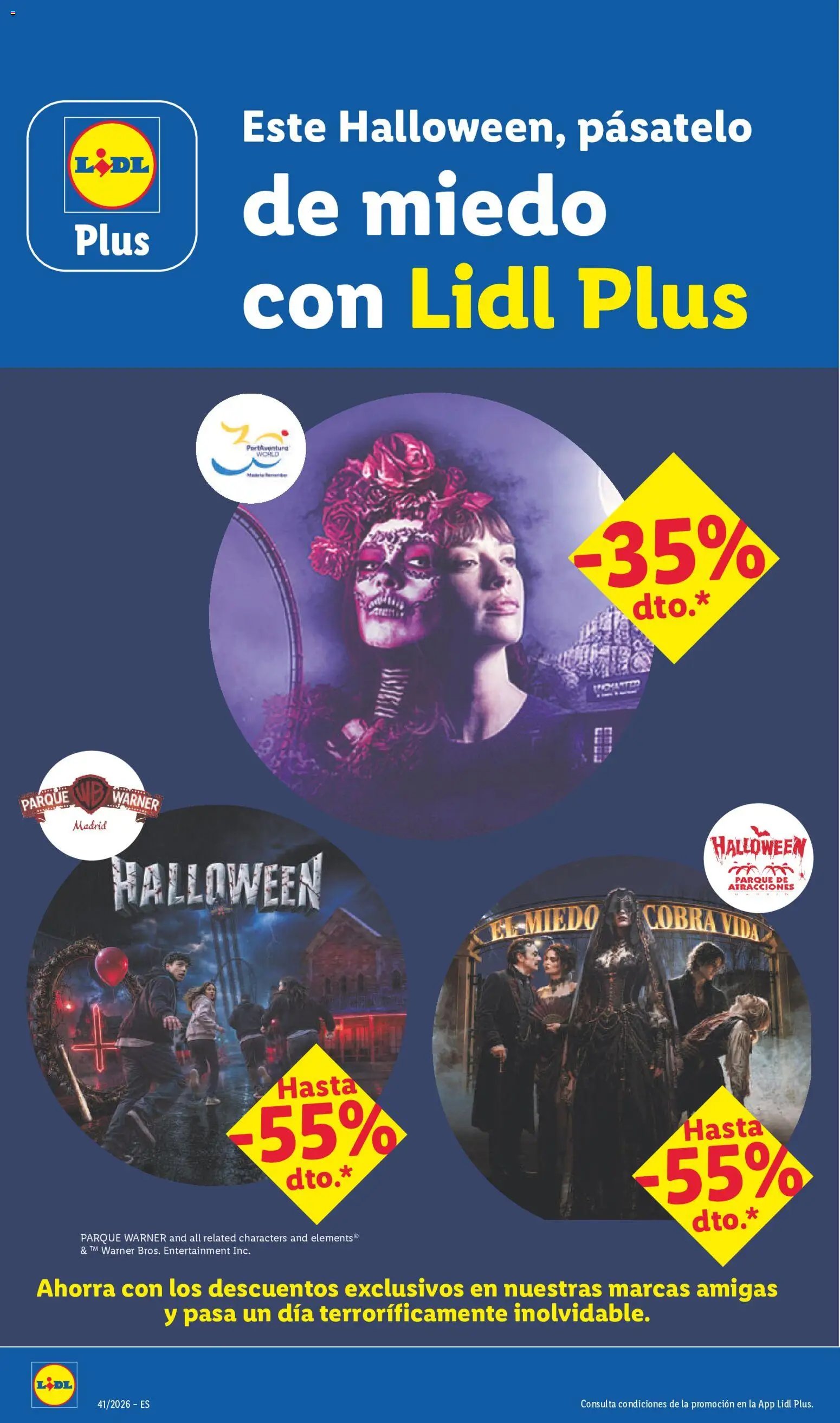 Lidl folleto