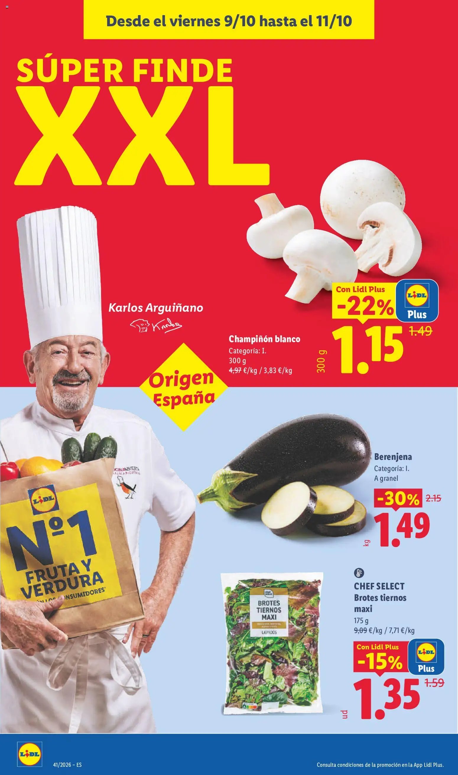 Lidl folleto